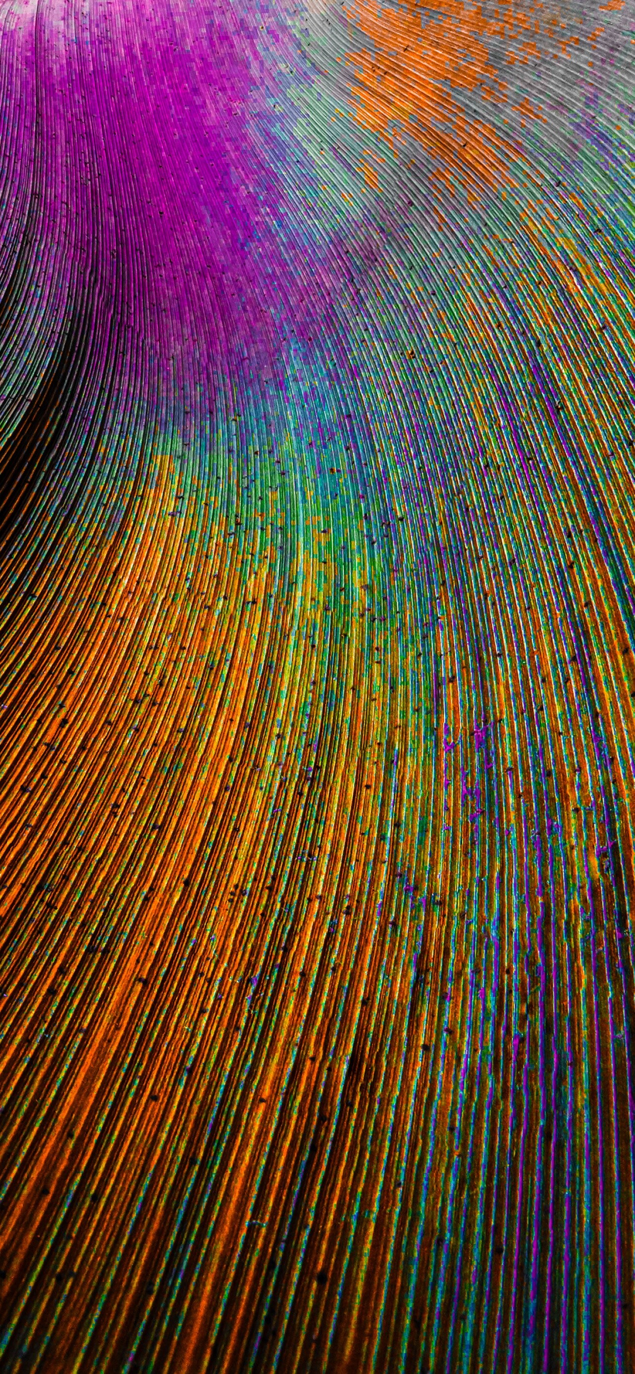 Peacock feather wallpaper, Colorful particles, Abstract, Beauty, 1290x2780 HD Phone