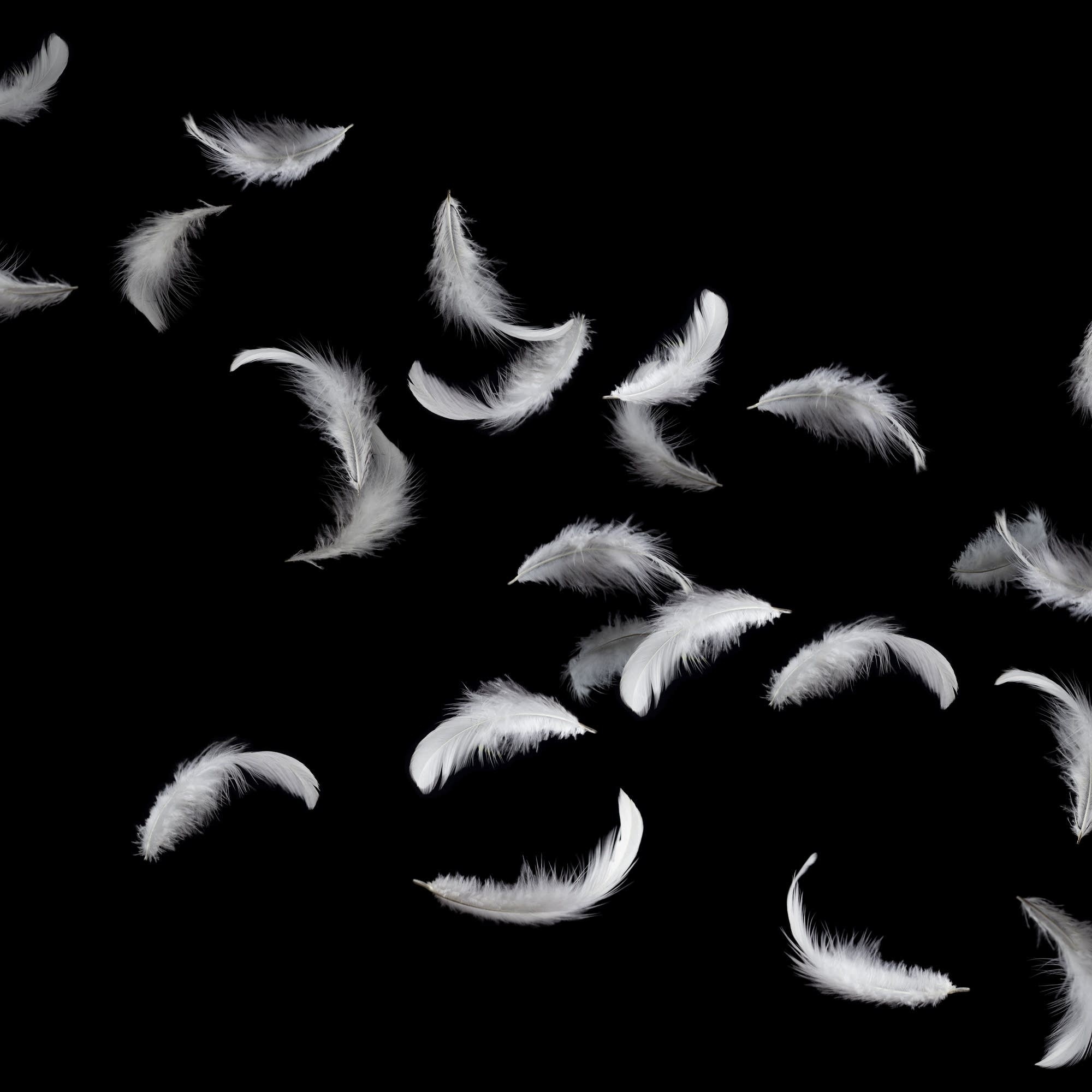 Feather in space, Zero gravity experiment, Intriguing scientific phenomenon, Physics demonstration, 2000x2000 HD Phone