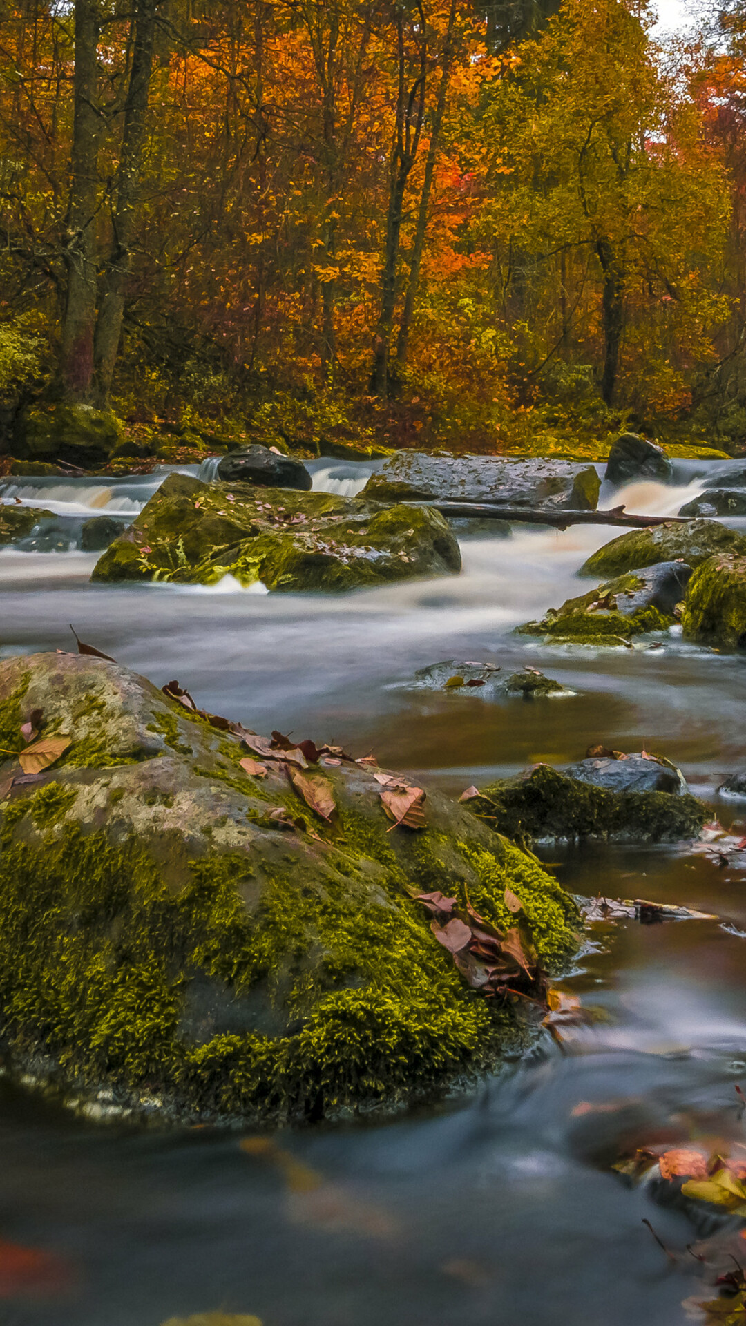 UHD river wallpaper, 4K nature image, High-definition river, Downloadable beauty, 1080x1920 Full HD Phone