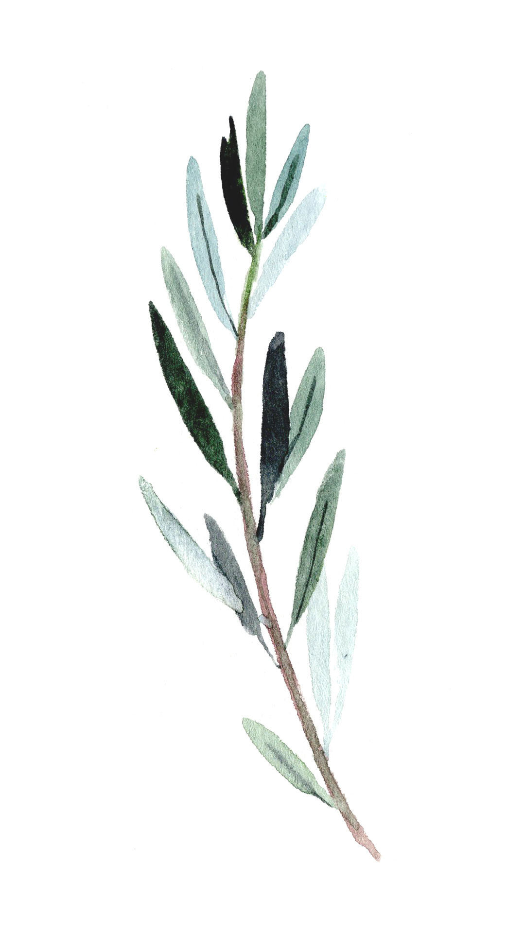 Olive branches, Tech and design, Stylish wallpaper, Desktop enhancement, 1080x1920 Full HD Phone