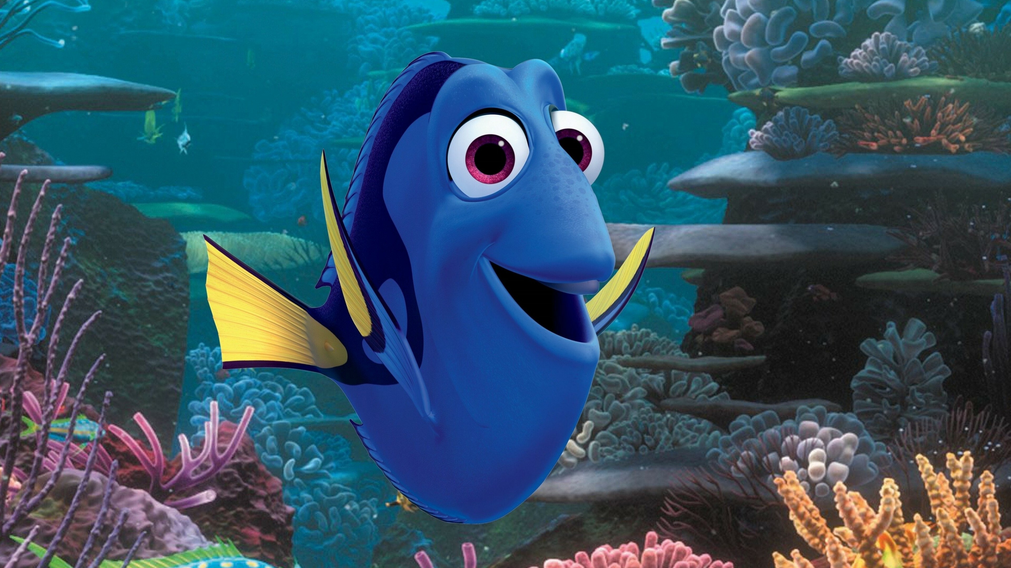 Finding Dory, Pixar animation, 8014 page, Nemo fish, 3840x2160 4K Desktop