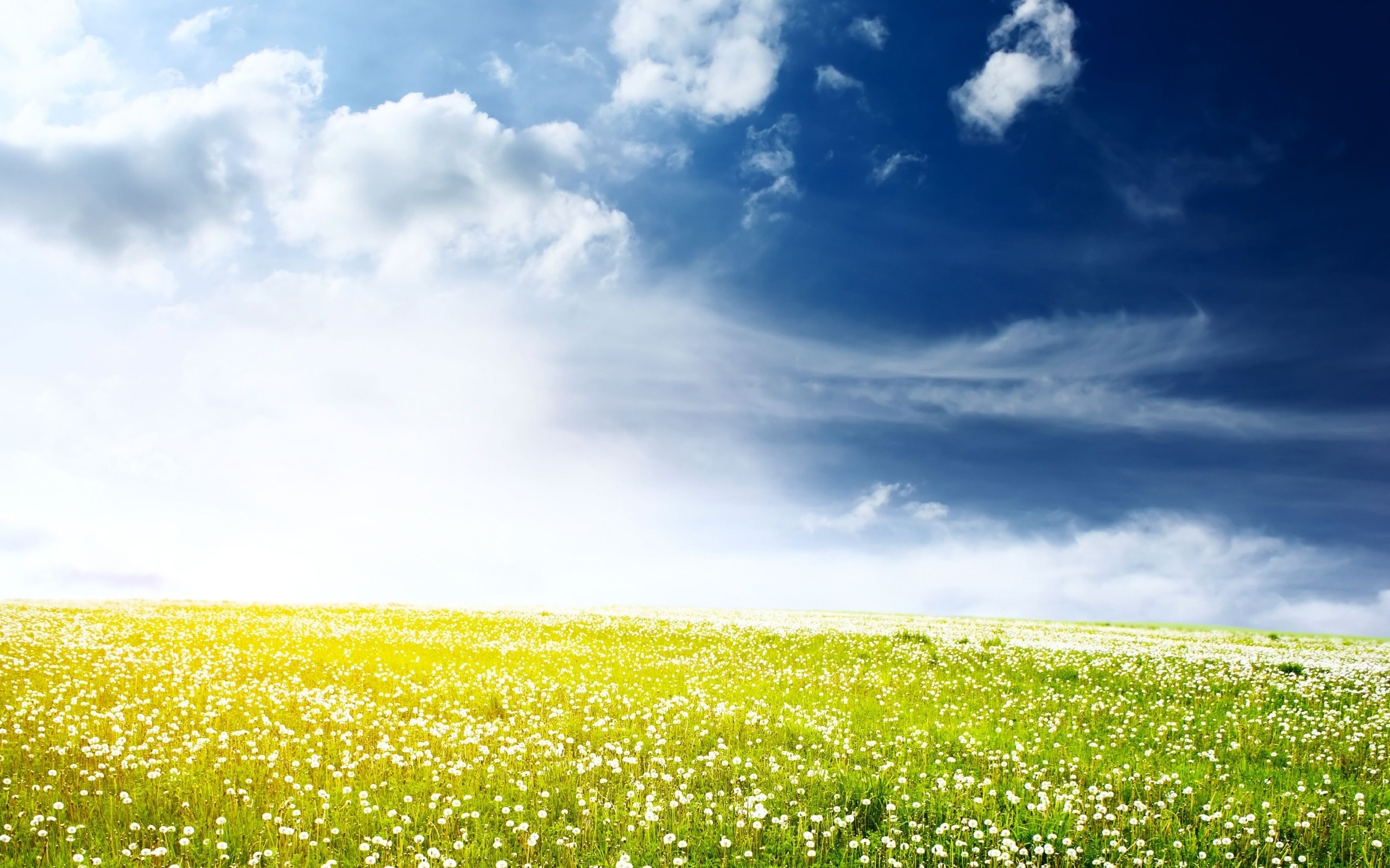 Sunny field background, Bright and vibrant, Christopher Cunningham, Splendid views, 2560x1600 HD Desktop