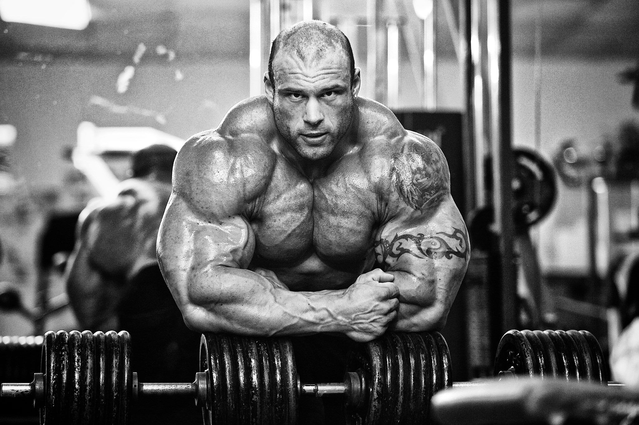 Ben Pakulski, Heavy dumbbell rack, Monochrome gym setting, HD Desktop wallpaper