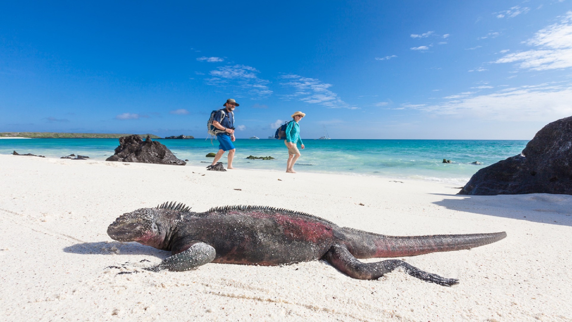 Galapagos Islands, Gulliver Expeditions, Island adventure, Ecuador travel, 1920x1080 Full HD Desktop