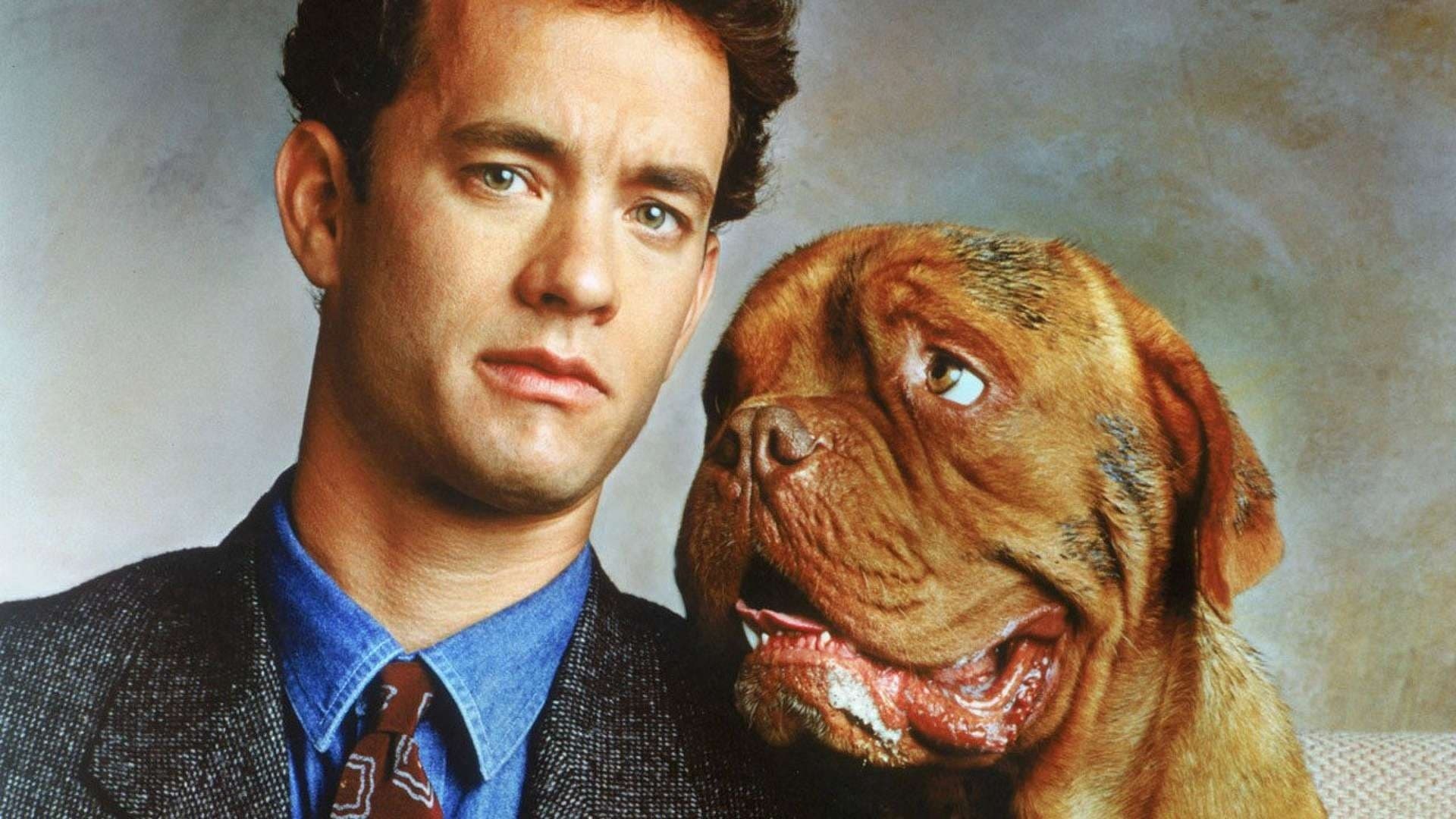 Turner and Hooch (Movies), Backdrops, Turner and Hooch 1989, Classic buddy cop film, 1920x1080 Full HD Desktop