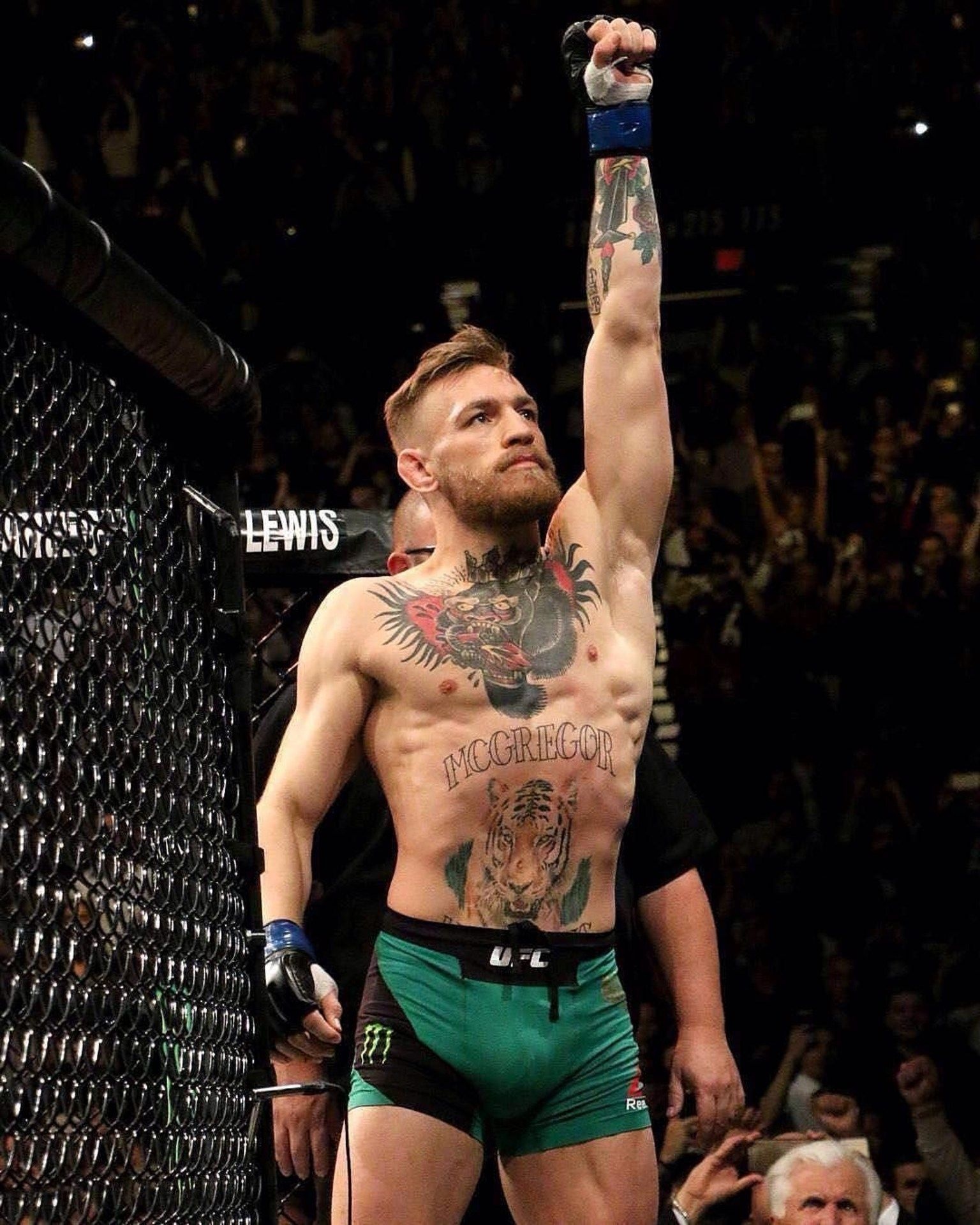 Conor McGregor iPhone wallpapers, 1540x1920 HD Phone