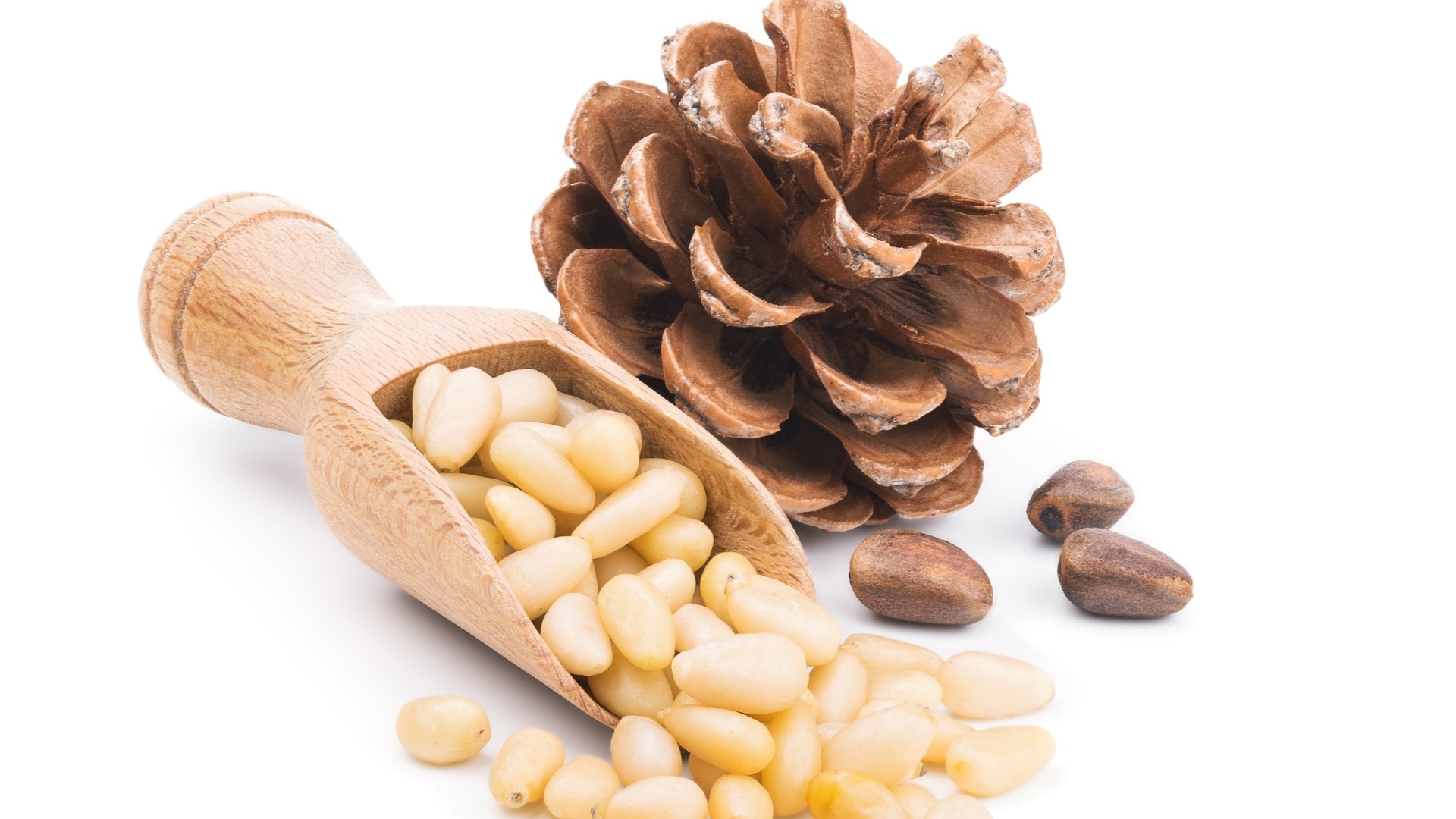 Bulk pine nuts, Affordable price, Custom packing, Premium quality, 1920x1080 Full HD Desktop