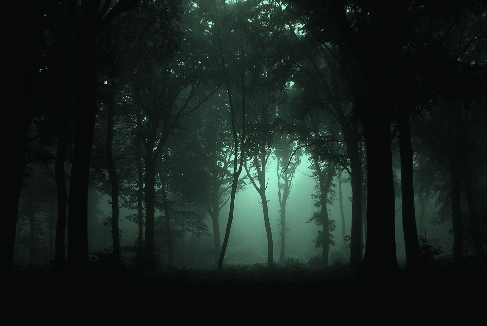 dark tree silhouettes, glowing green mist, foggy nocturnal woods, HD Desktop wallpaper