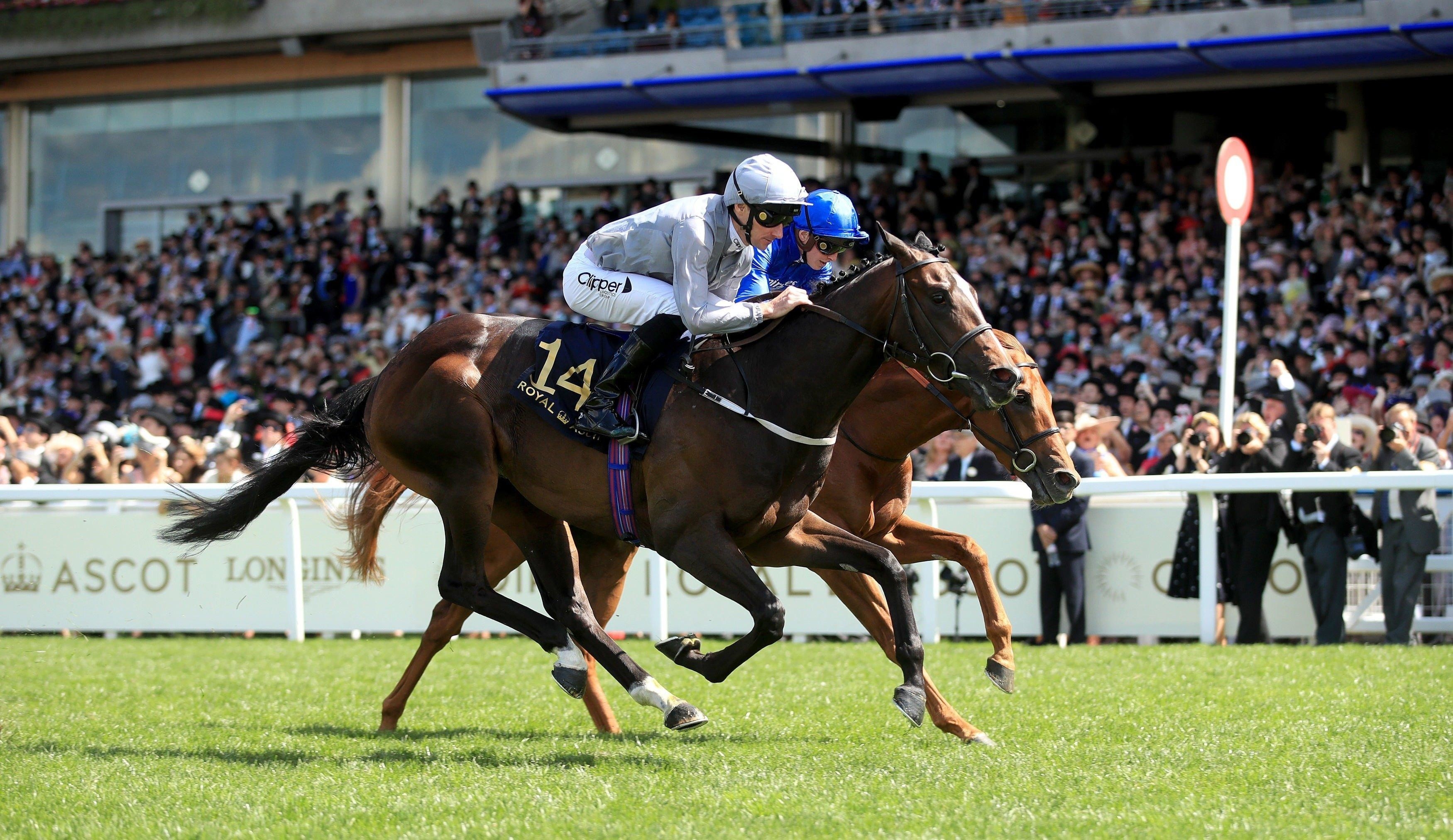 Ascot Racecourse, Horse Racing Wallpaper, 3500x2030 HD Desktop