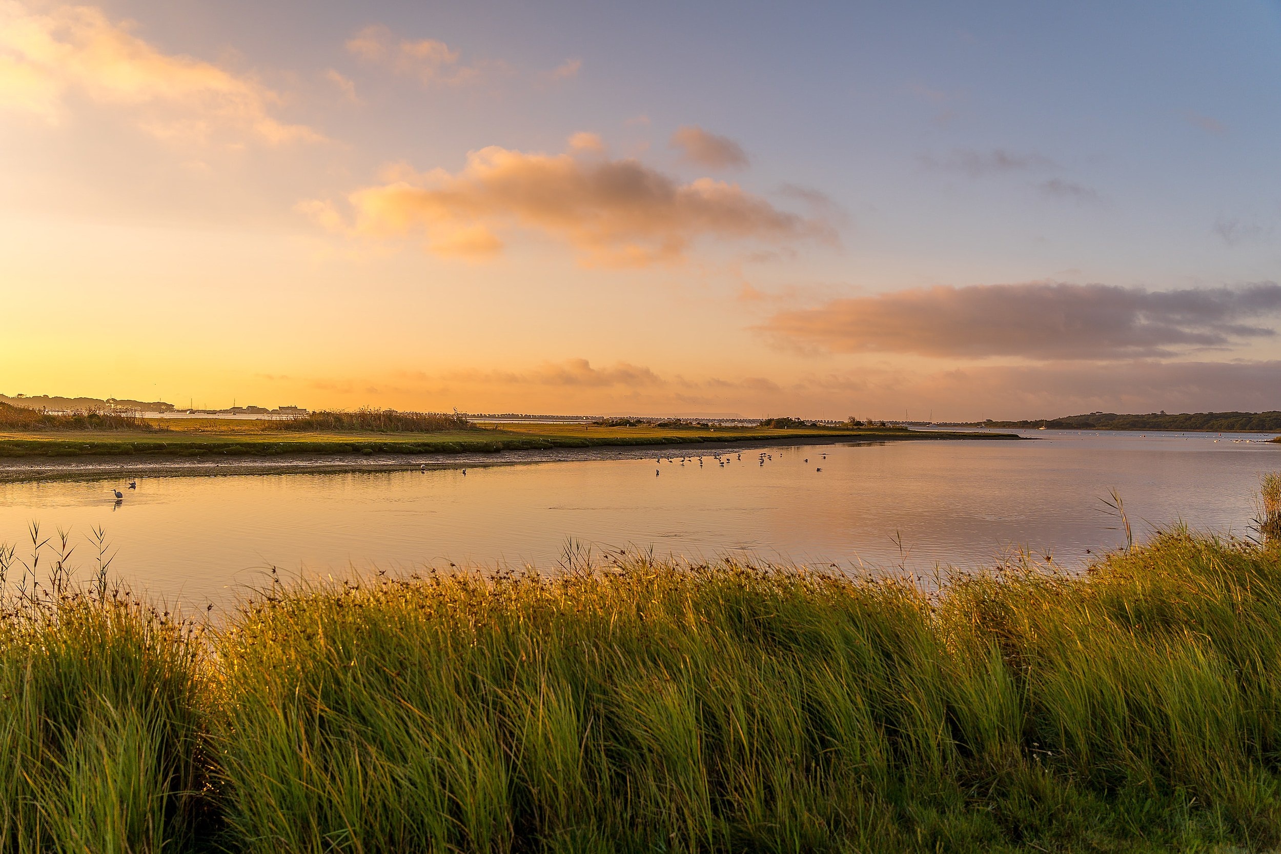 Louisiana travels, Helicopter search, South Louisiana authorities, 2500x1670 HD Desktop