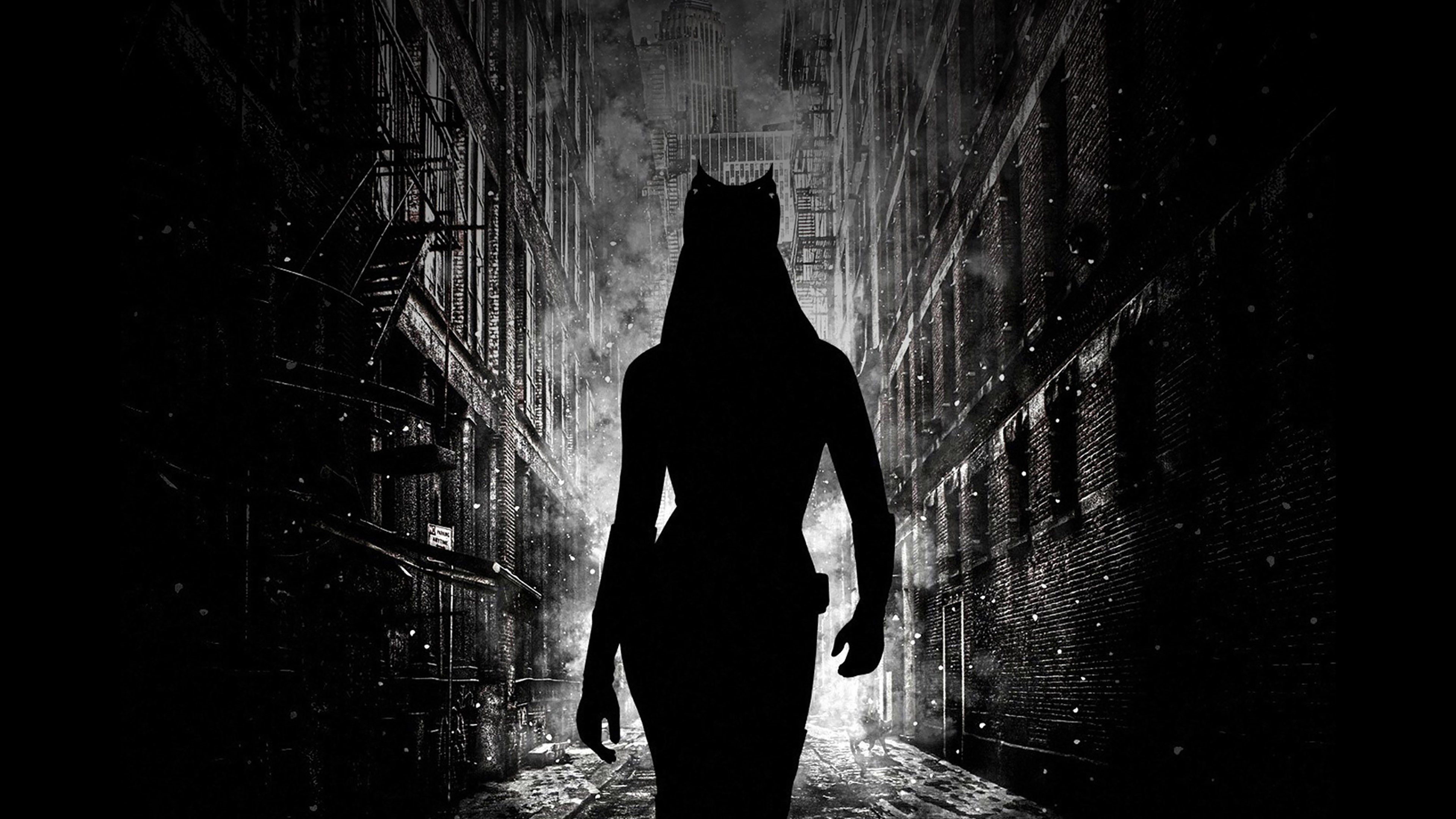 Catwoman walking dark, Striking wallpaper, 3840x2160 4K Desktop