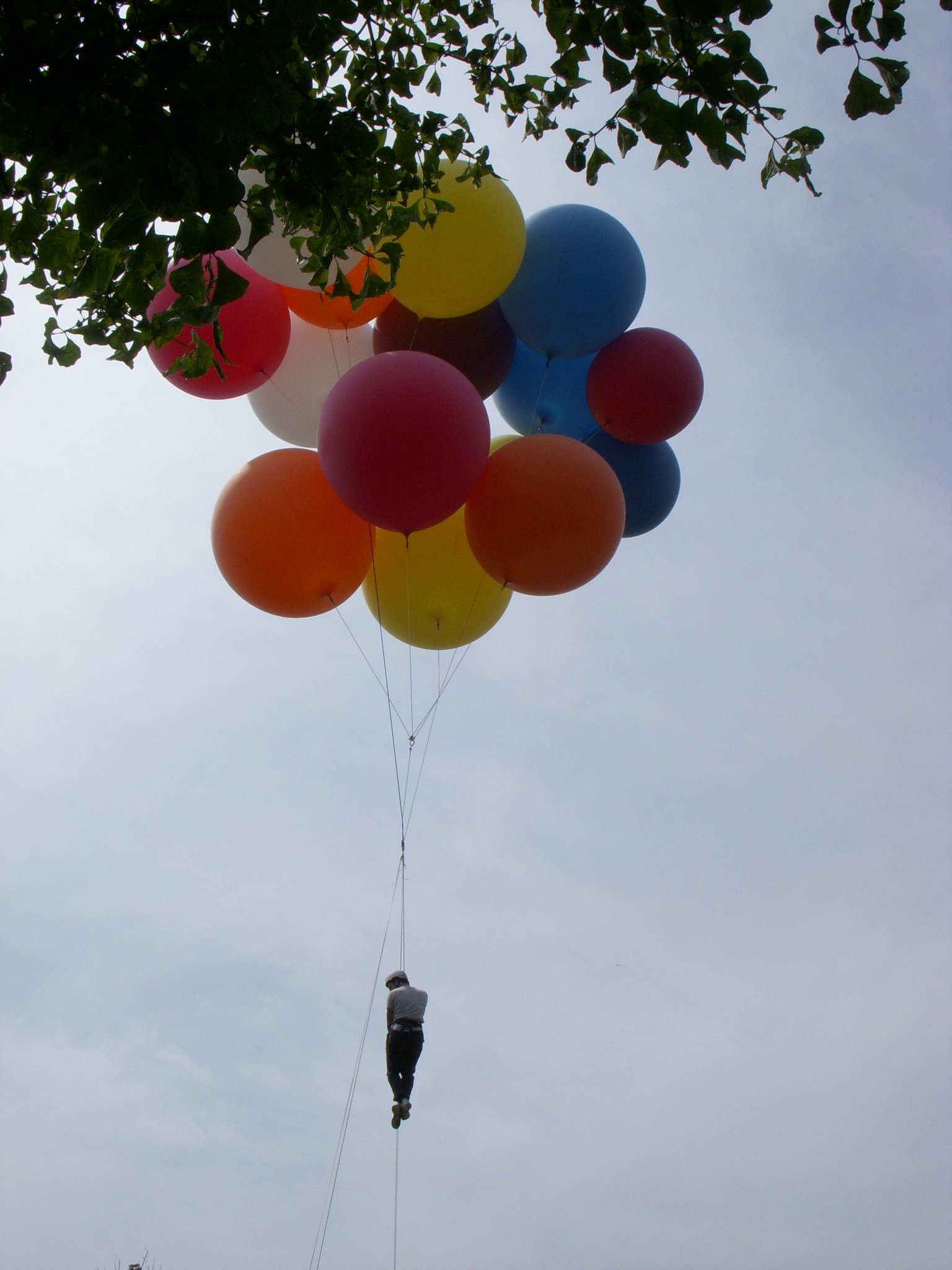 Cluster ballooning, Emma Steinhardt, Aerial adventure, Sports journey, 1540x2050 HD Phone