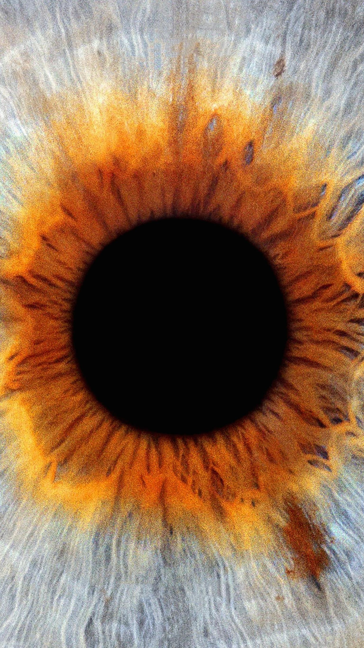 I Origins, Eye imagery, Symbolic visuals, Enigmatic symbolism, 1540x2740 HD Phone