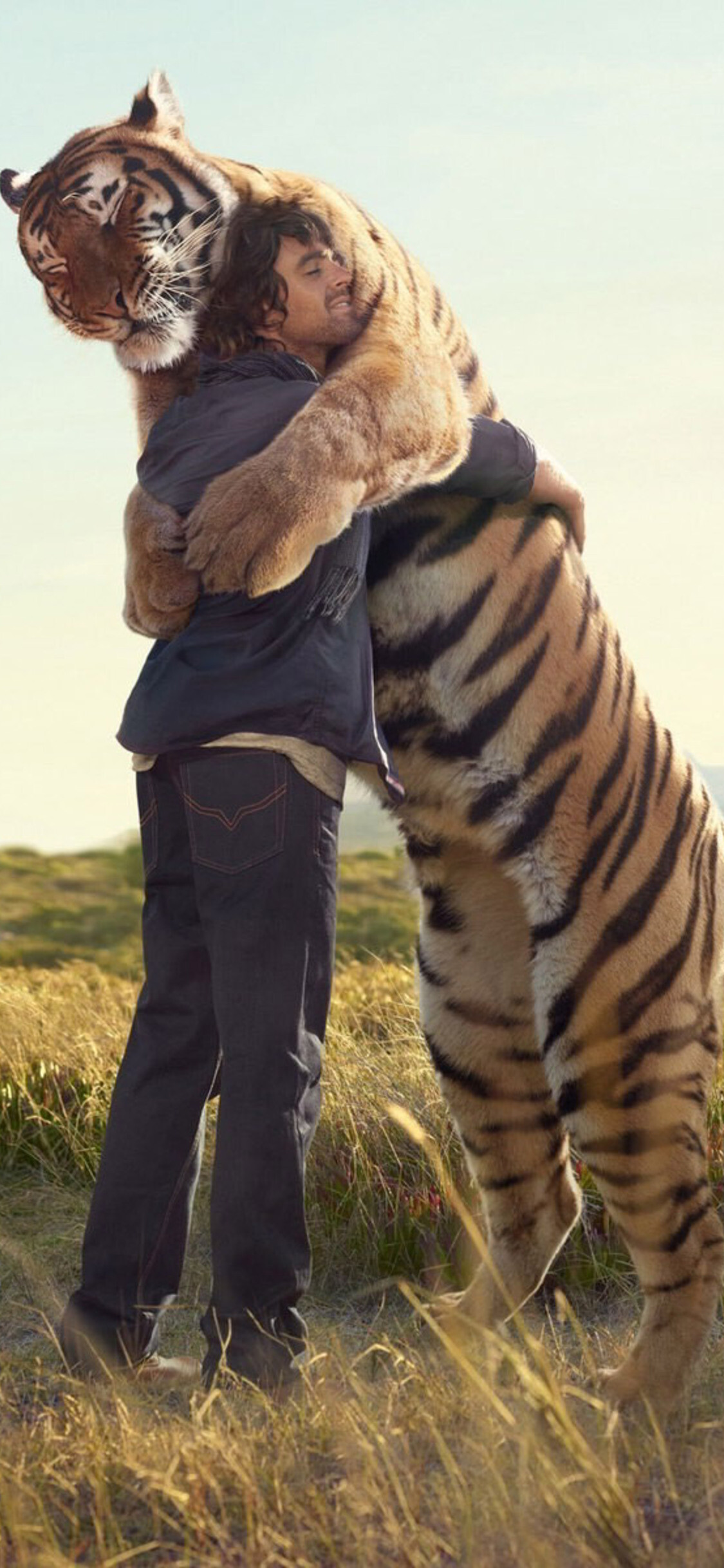 Tiger Hug, Hugs Wallpaper, 1130x2440 HD Phone