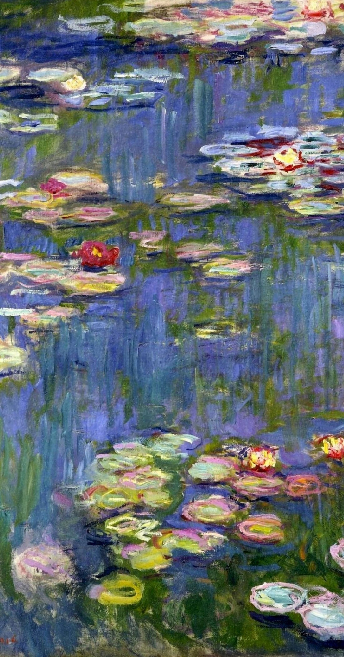 Claude Monet Water Lilies, blooming pink water lilies, Impressionist pond reflections, HD Phone wallpaper