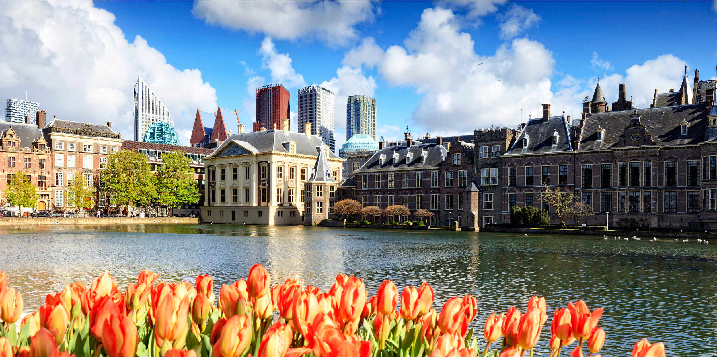 The Hague, IAPCO Edge, Registration open, Congress organisers, 2500x1250 Dual Screen Desktop