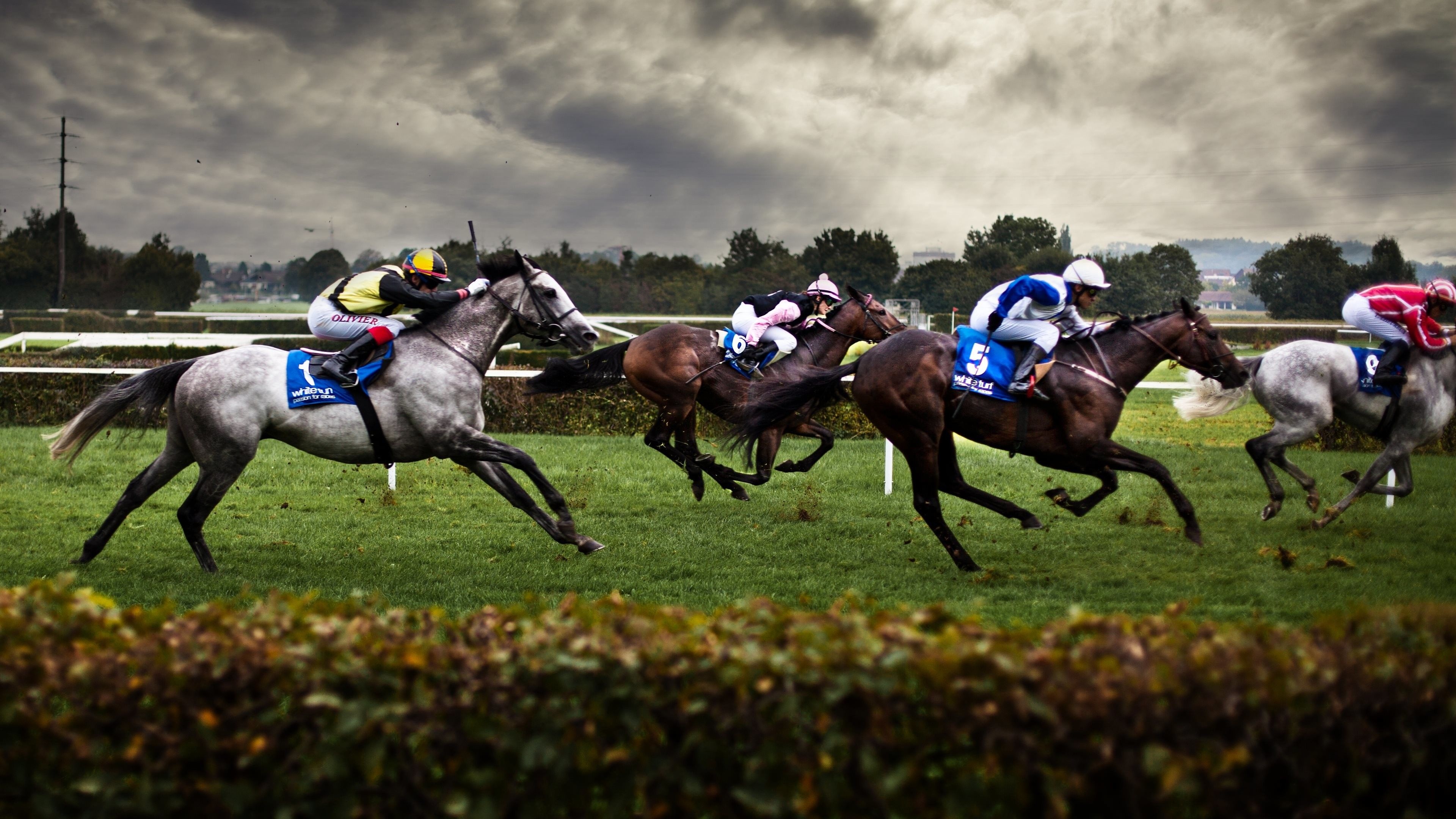 Horse Racing, Beautiful horses, Horse racing wallpapers, Horse racing backgrounds, 3840x2160 4K Desktop