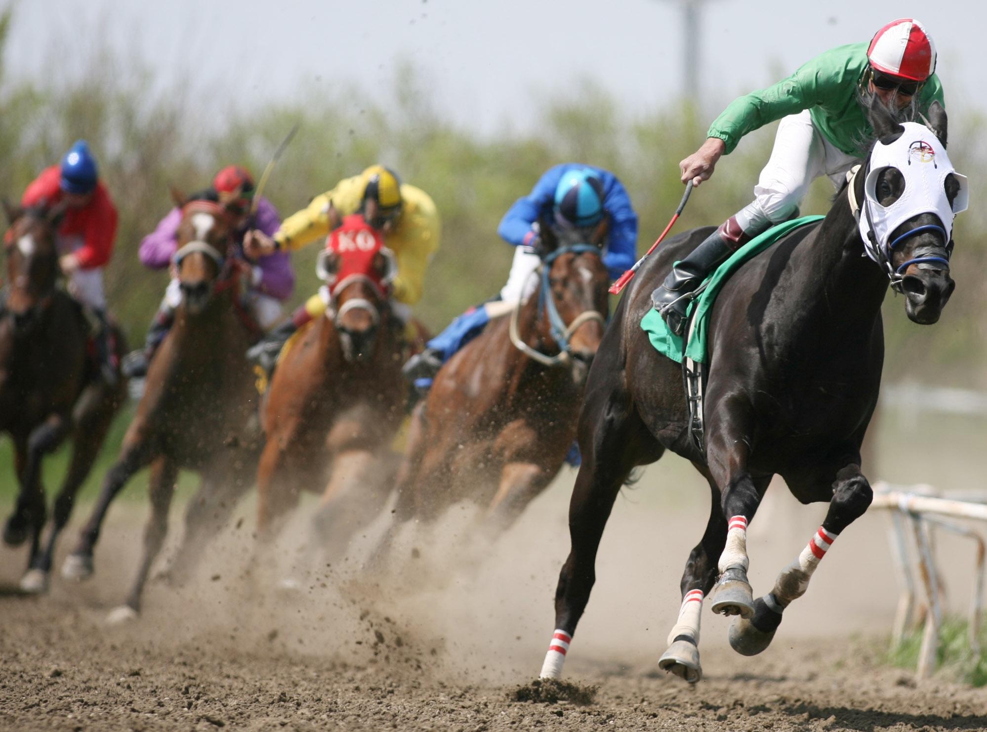 Horse Racing, Racehorse wallpapers, Backgrounds, 2000x1490 HD Desktop