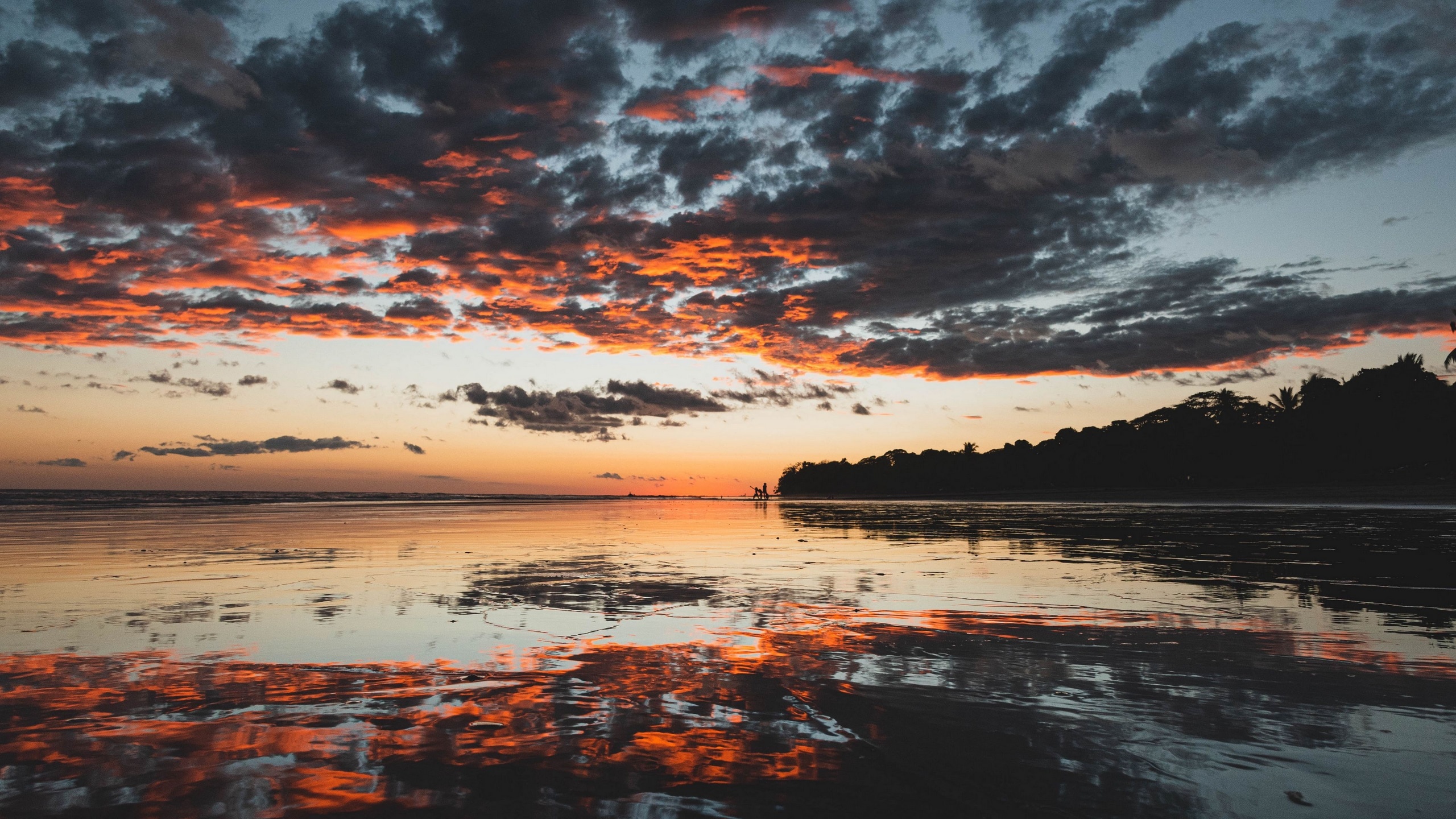 reflective wet sand shore, dramatic sunset clouds, silhouetted coastal forest, HD Desktop wallpaper