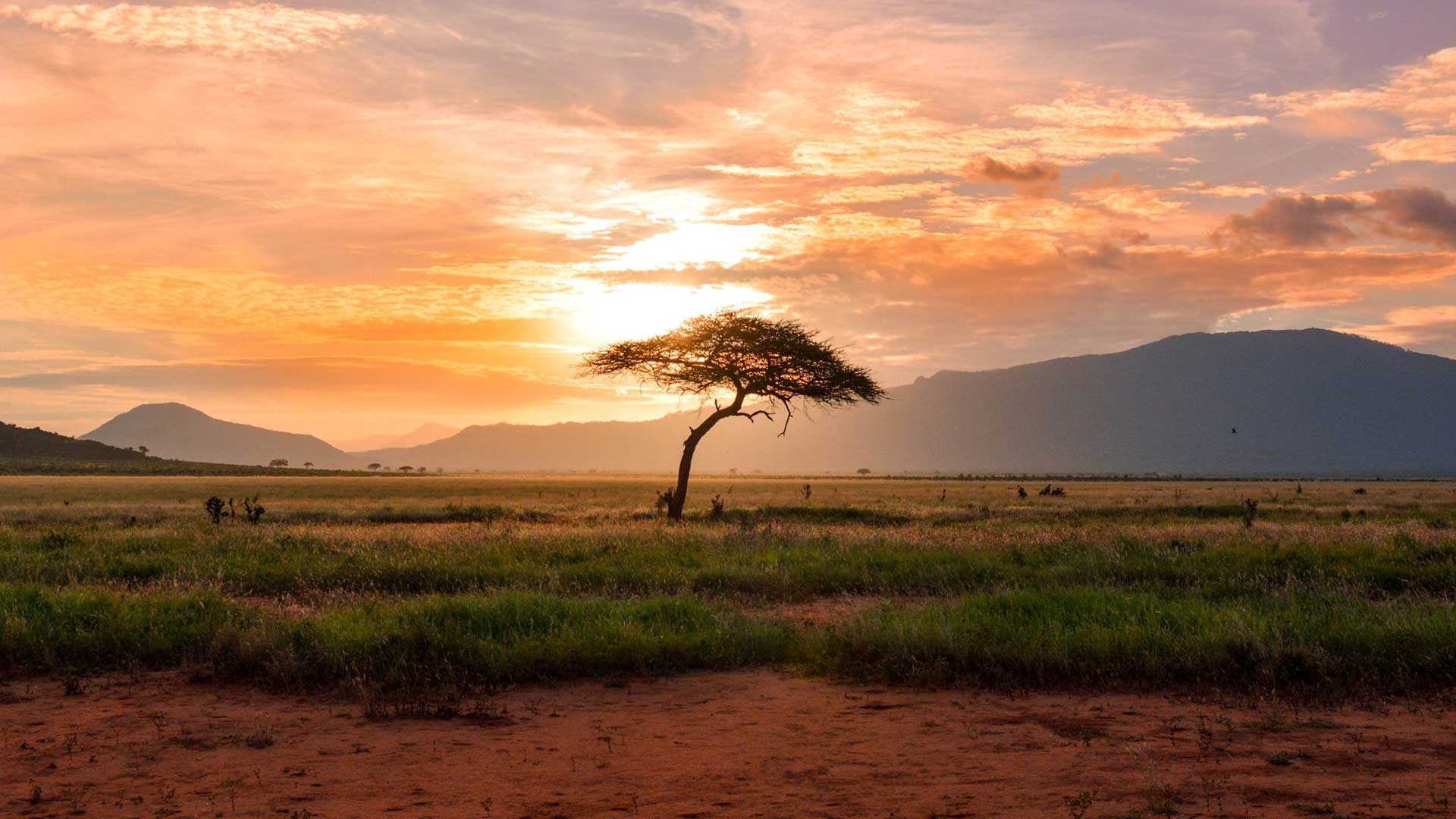 Africa Travels, Hidden gems, Untamed wilderness, Rich heritage, 1920x1080 Full HD Desktop
