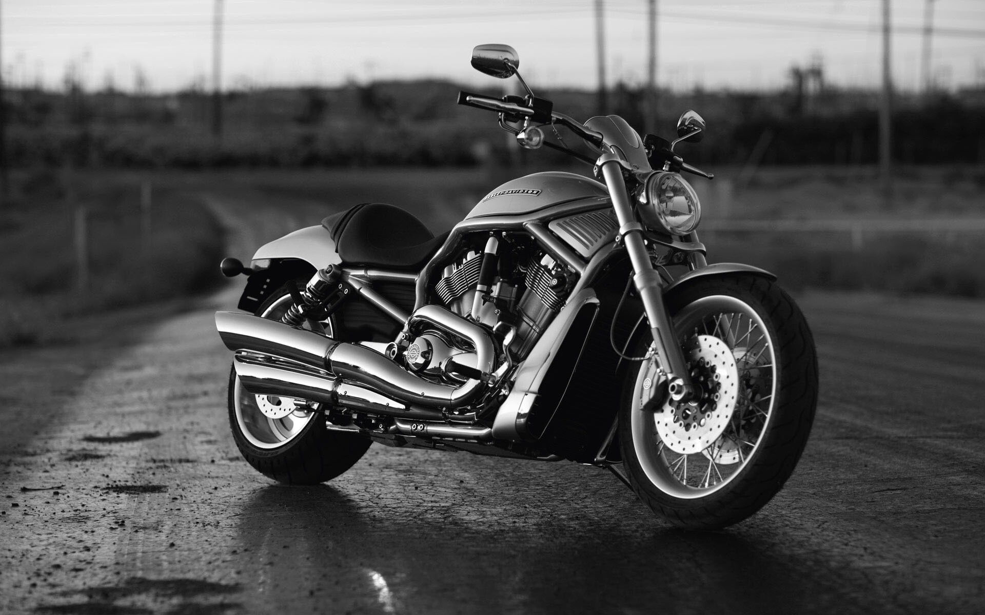 Harley-Davidson, Biker's dream, Stylish and sleek, Motorcycle lifestyle, 1920x1200 HD Desktop