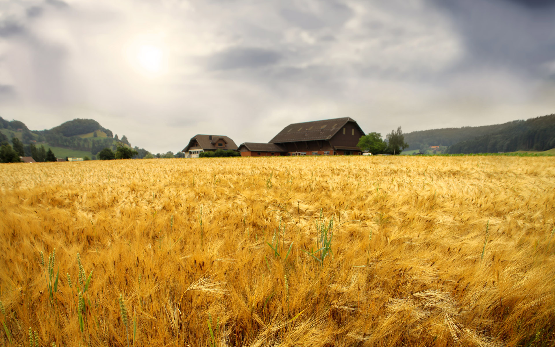 Farm desktop wallpaper, Samantha Tremblay, Rural charm, Countryside, 1920x1200 HD Desktop