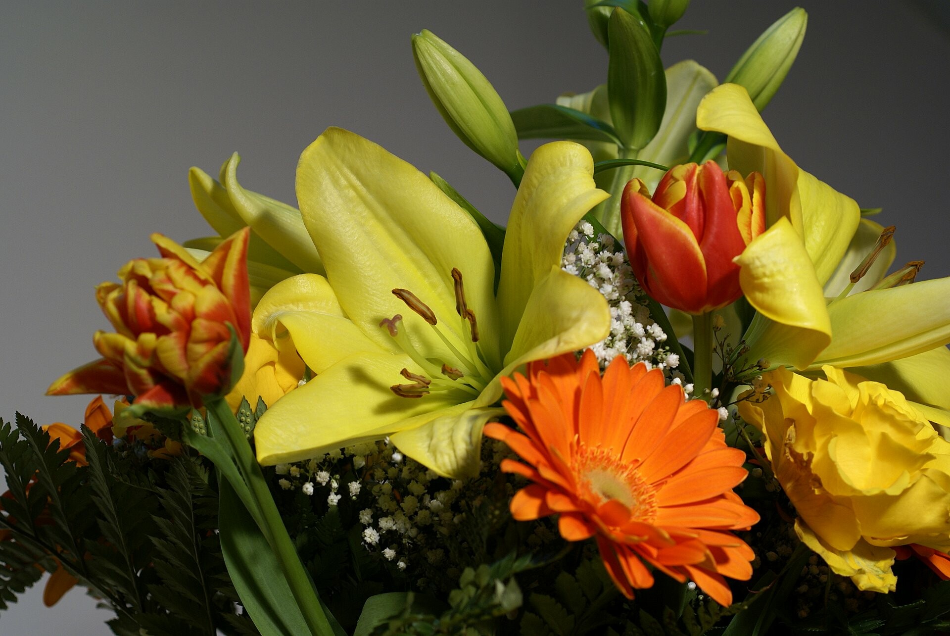 Flower ensemble, Lovely blossoms, Delicate display, Beautiful bouquet, 1920x1290 HD Desktop