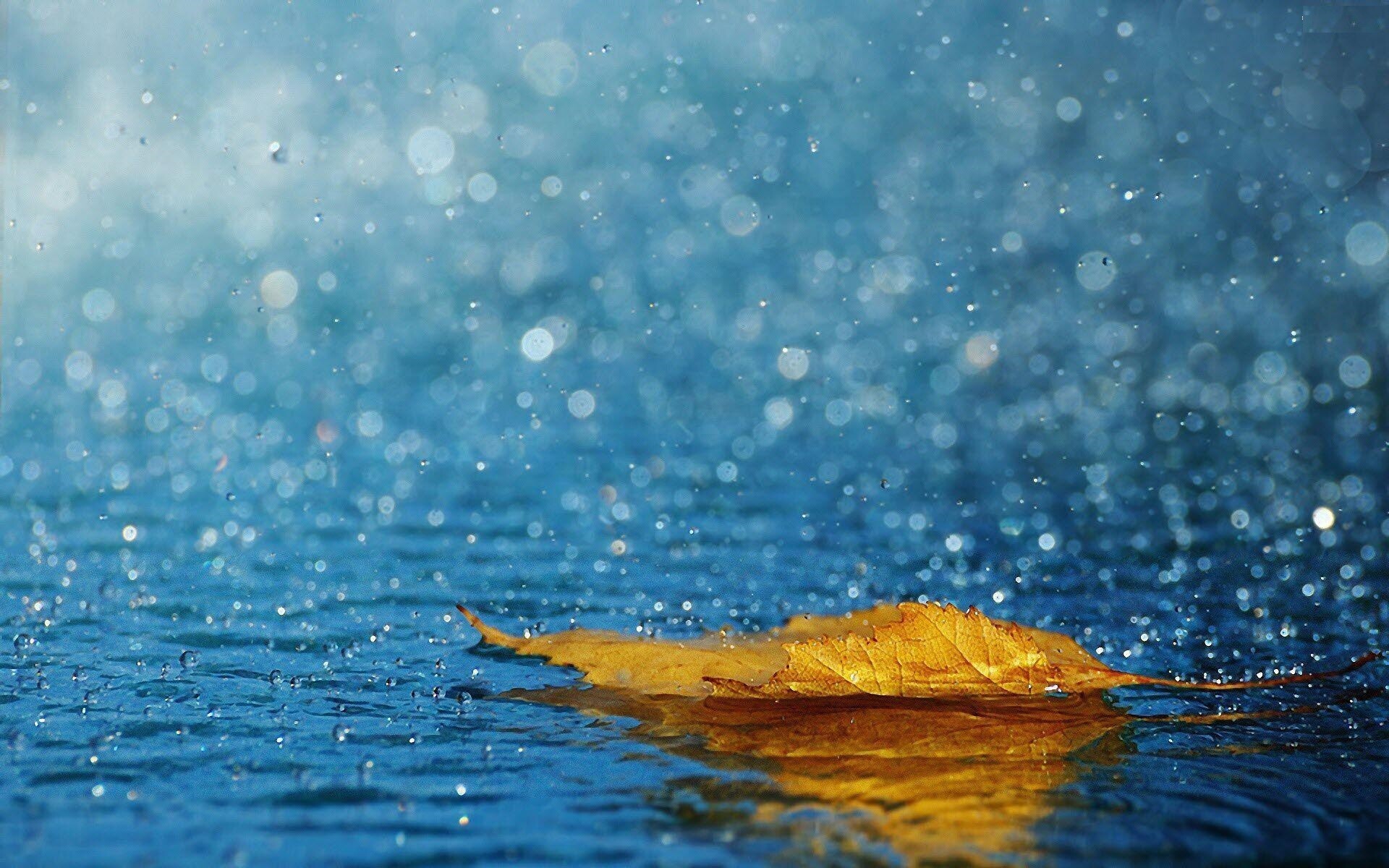 Rain wallpapers, Airwallpaper, 1920x1200 HD Desktop