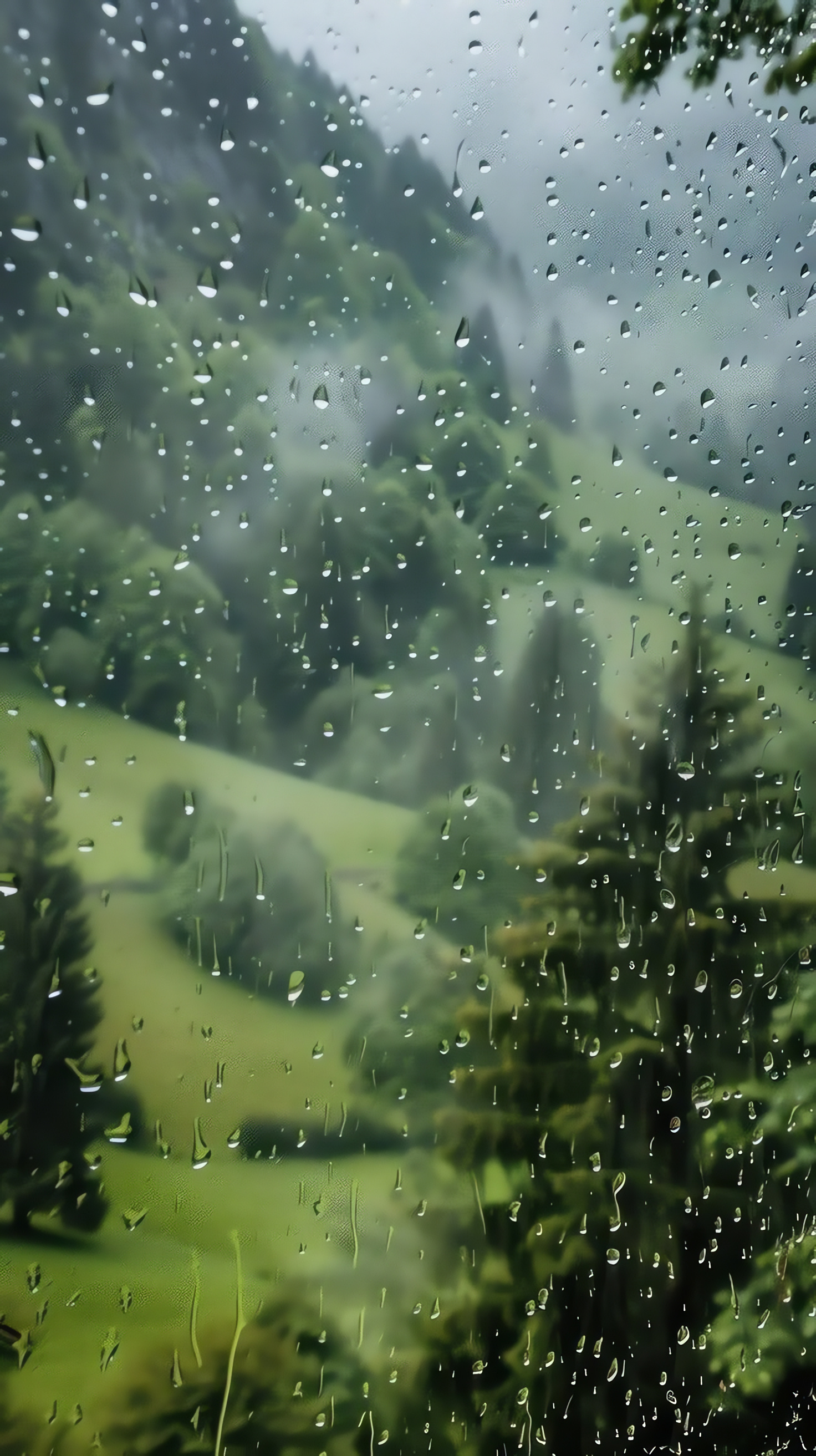 Rainy Window, Green Forest Landscape, Mountains, Hills, Out Of Focus, HDR