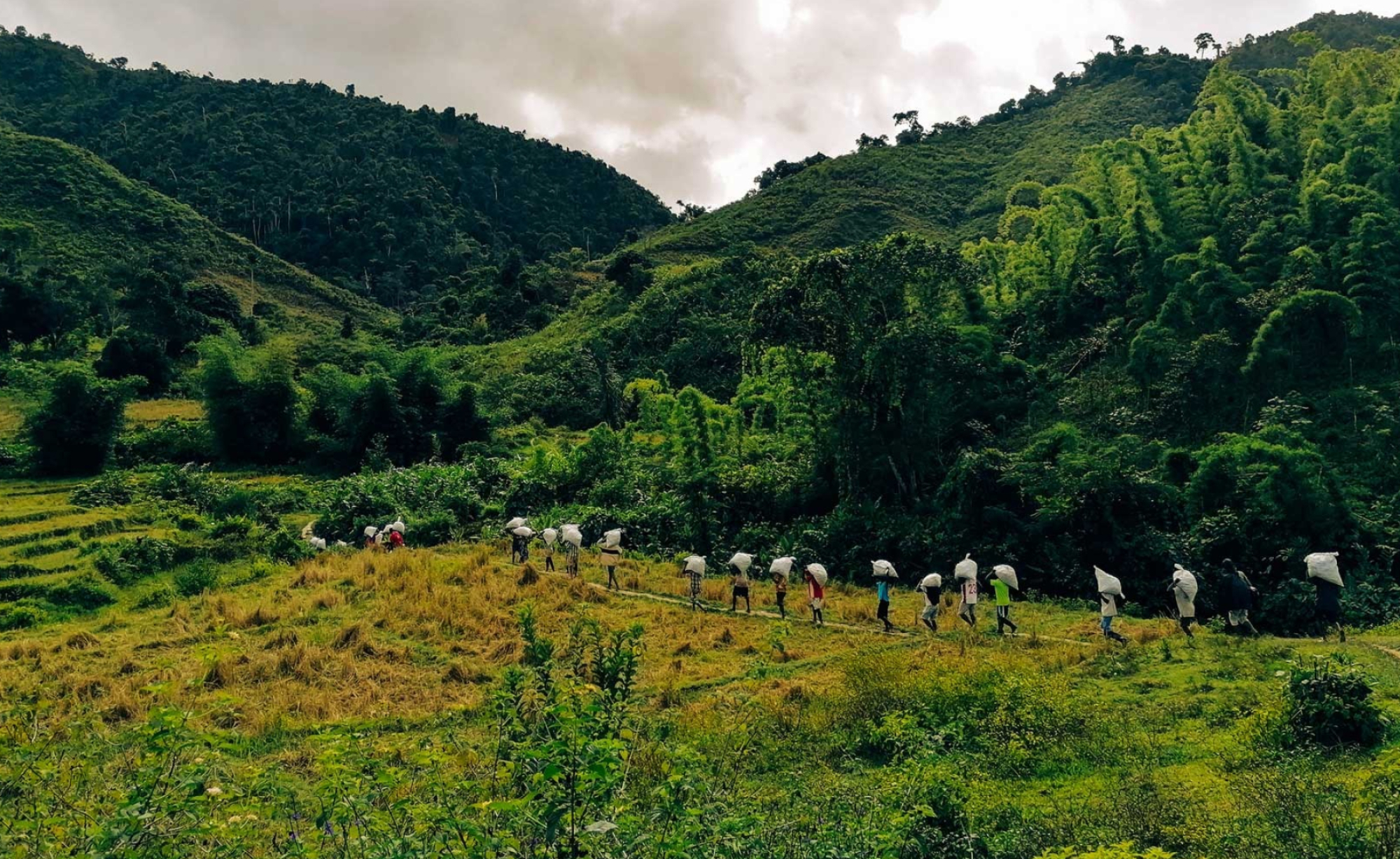 Green Vanilla Campaign, Sustainable Agriculture, Vanilla Farming, Environmental Awareness, 2000x1230 HD Desktop