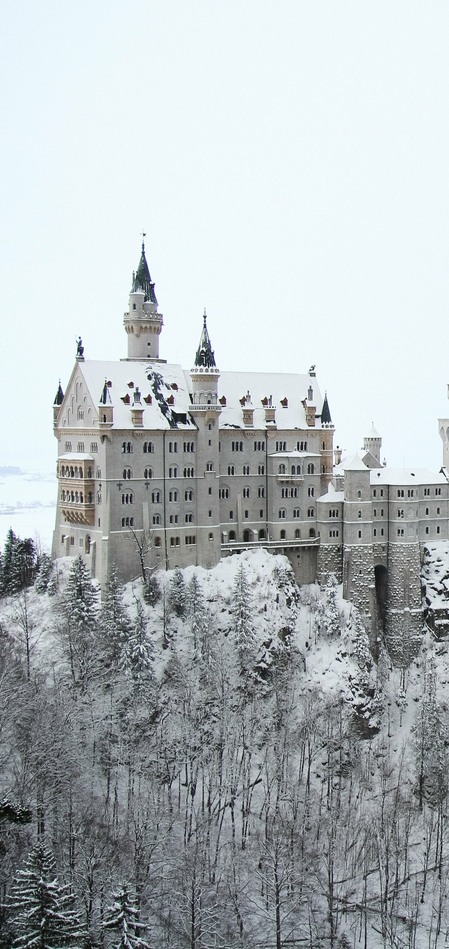 Neuschwanstein Castle, Man-made, Travels,, 1440x3040 HD Phone