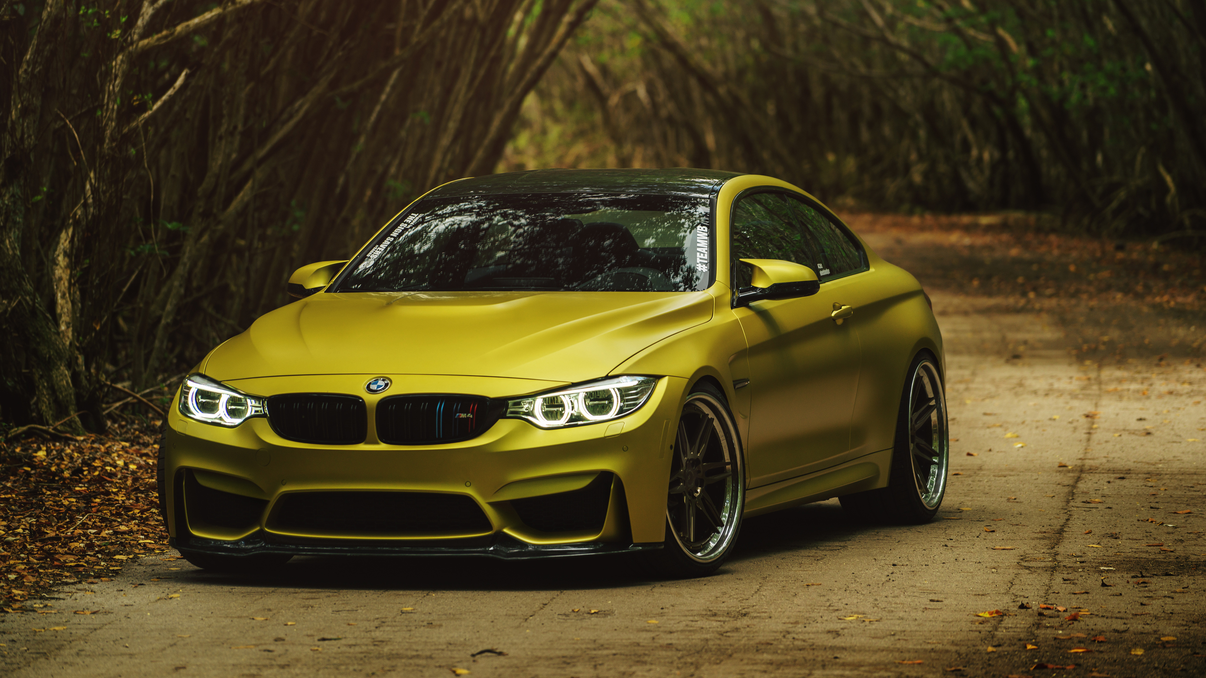 Forest, BMW M4 Wallpaper, 3840x2160 4K Desktop