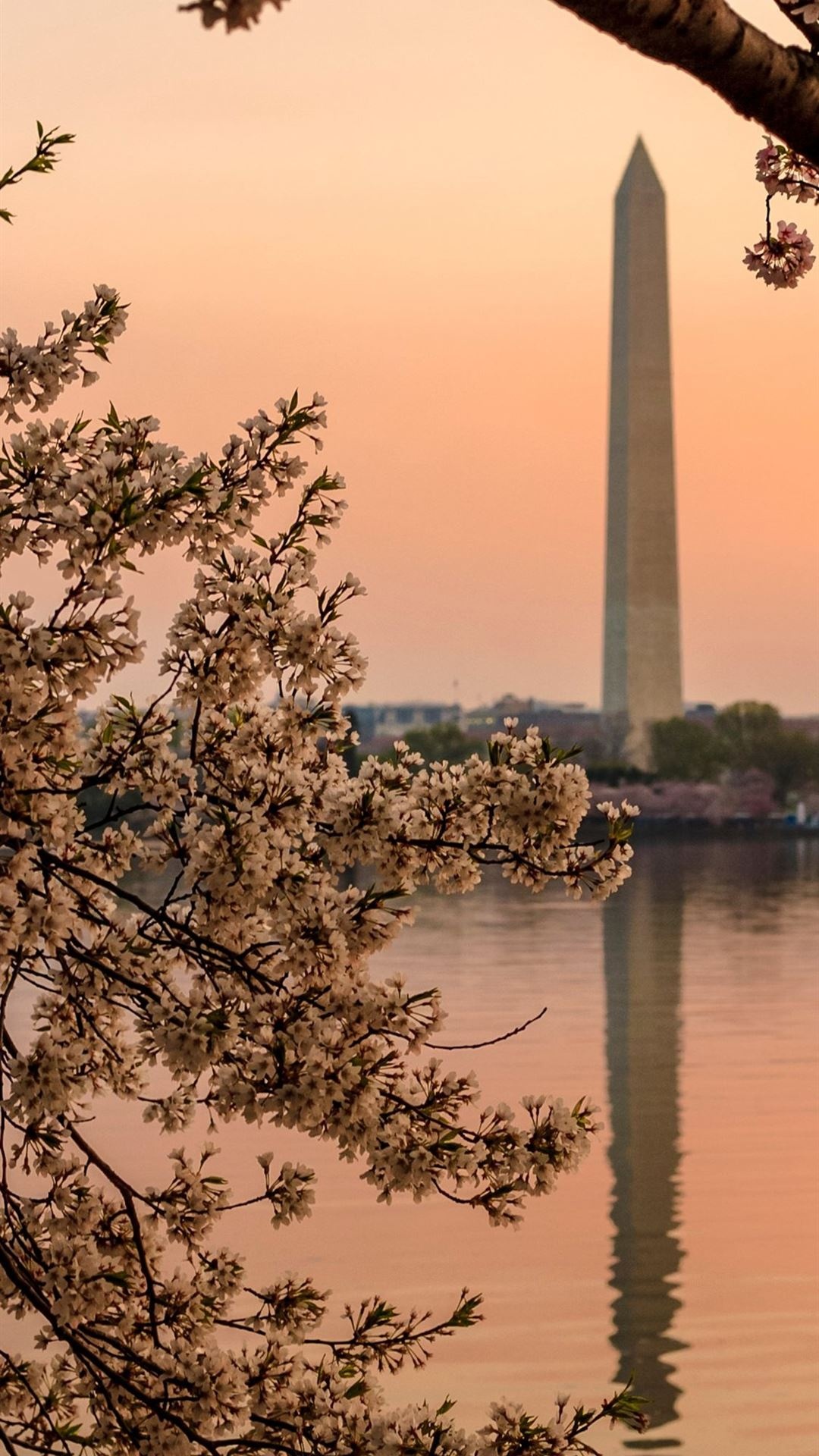 Washington, D.C., iPhone Wallpapers, City on-the-go, Digital Souvenirs, 1080x1920 Full HD Phone