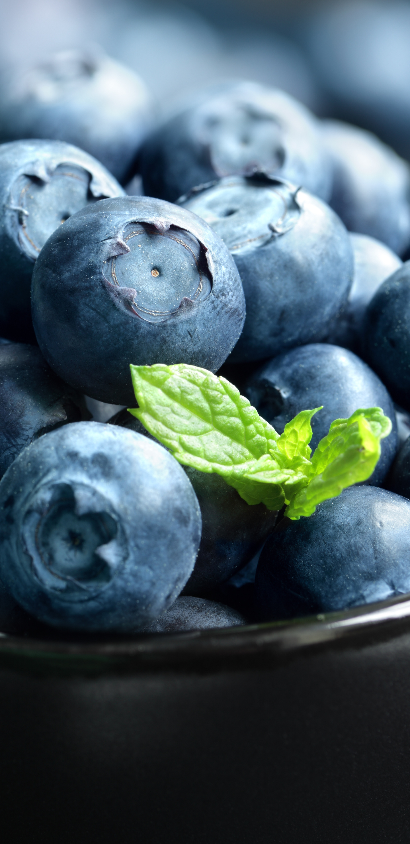 Mouth-watering blueberry dish, Food photography, Tempting treat, Culinary delight, 1440x2960 HD Phone