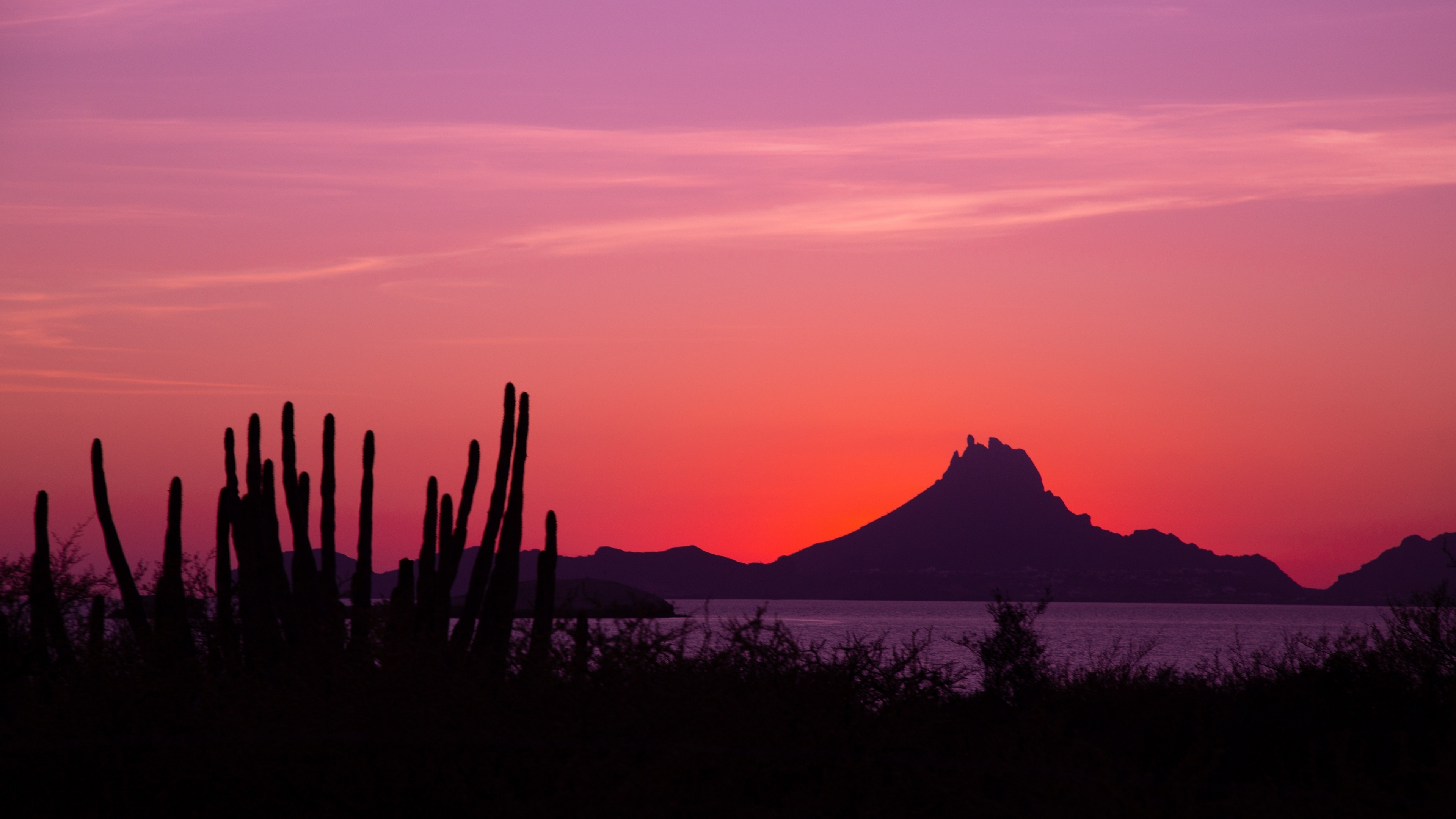 Cerro Tetakawi, silhouetted organ pipe cacti, pink dusk sky, 4K Desktop wallpaper