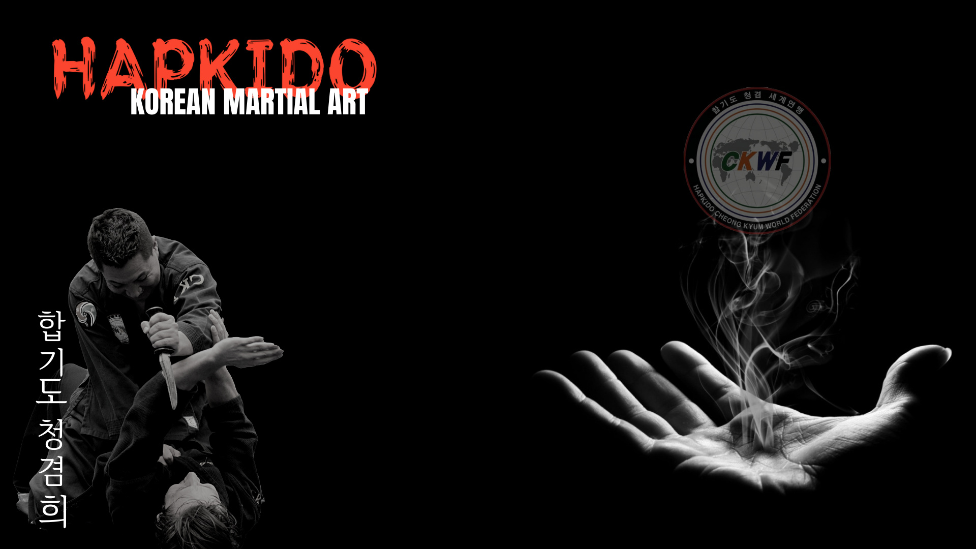 Hapkido, Martial Art Wallpaper, 1920x1080 Full HD Desktop