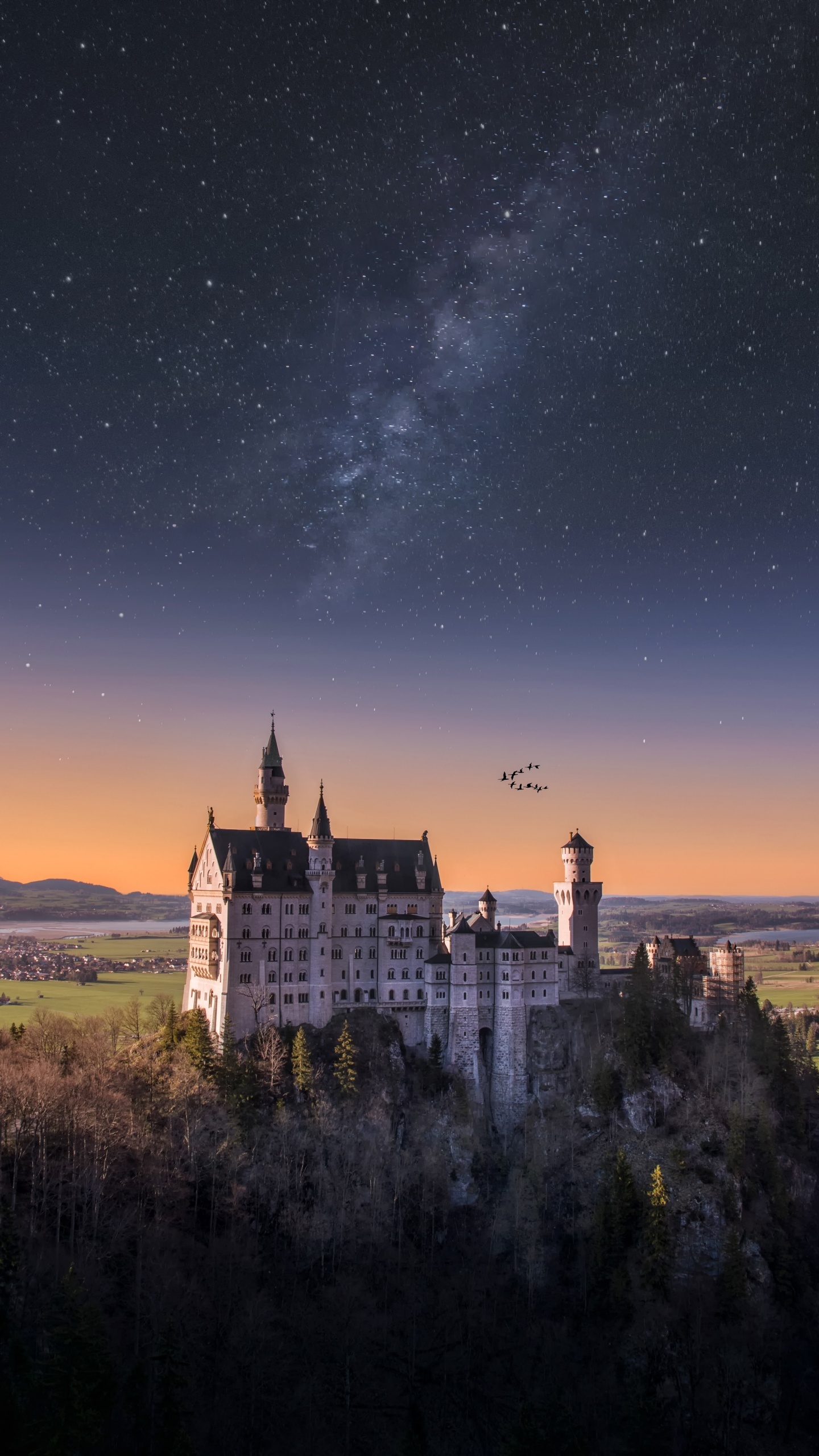 Neuschwanstein castle, Starry sky, 4K wallpapers, Lush landscapes, 1440x2560 HD Phone