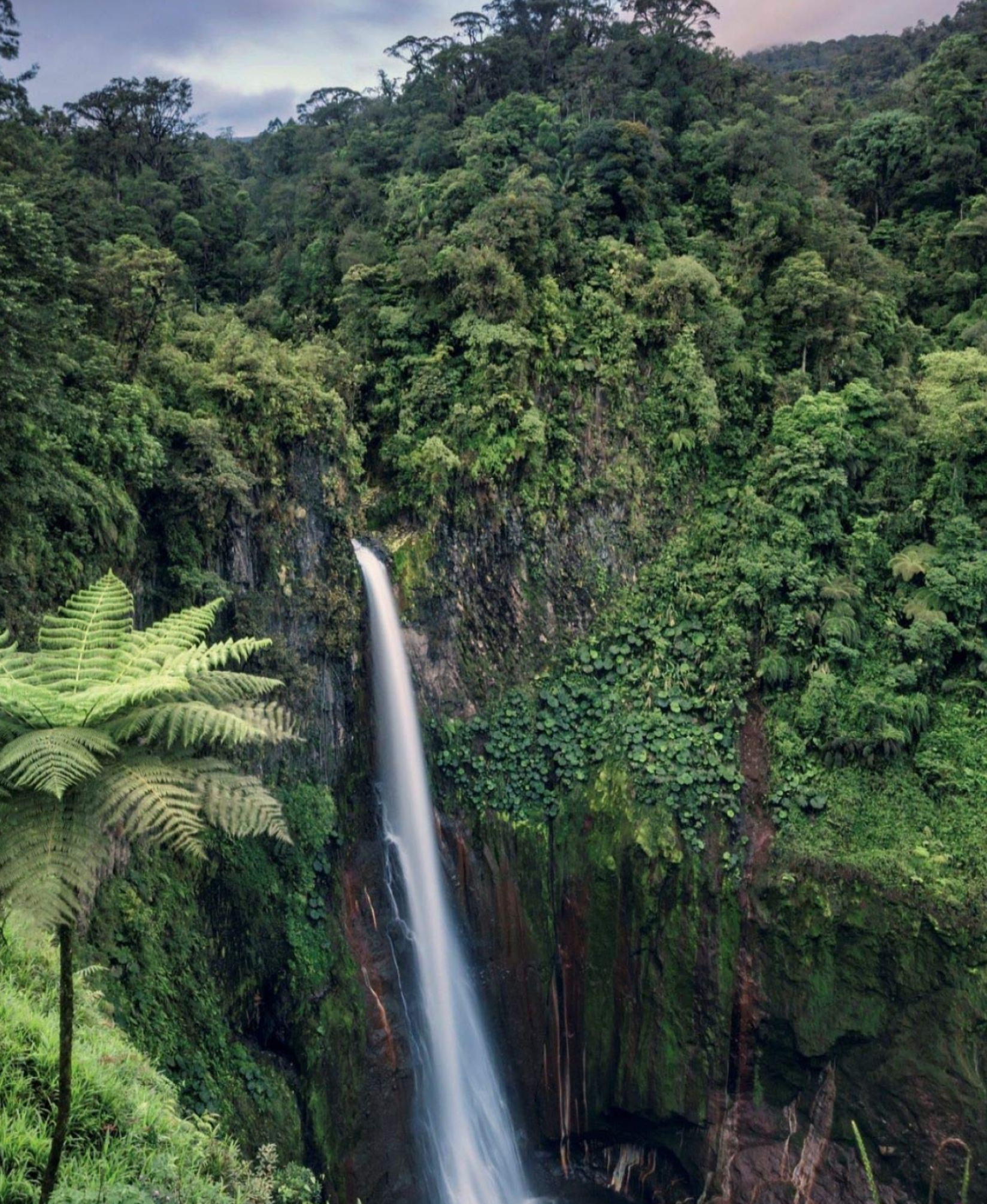 Bajos del Toro, Costa Rica Wallpaper, 1650x2010 HD Phone