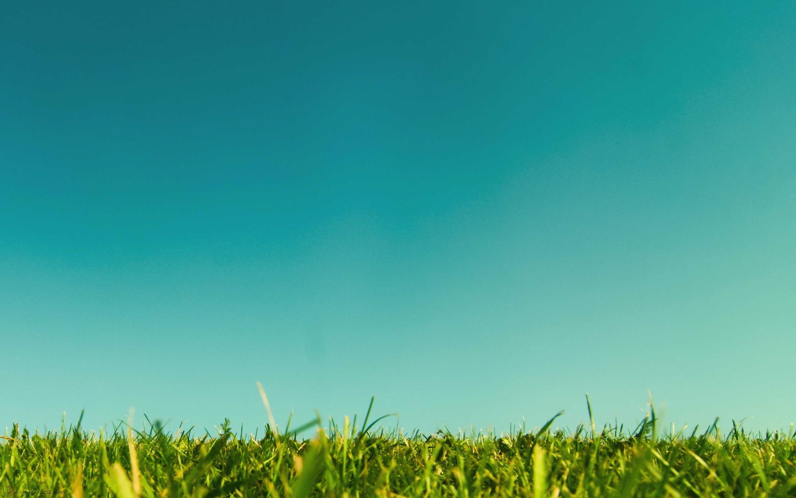 Grass and sky background, Vibrant colors, Refreshing visuals, Calm and serene, 2560x1600 HD Desktop