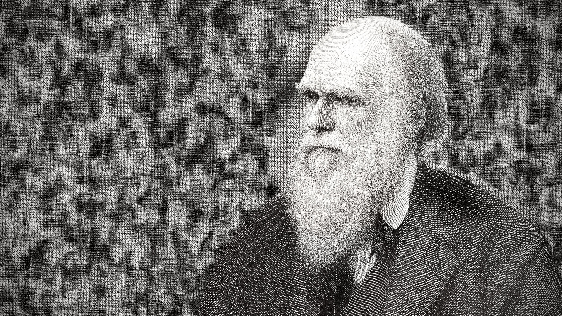 Charles Darwin, Evolutionary biologist, Natural selection, Vision, 1920x1080 Full HD Desktop