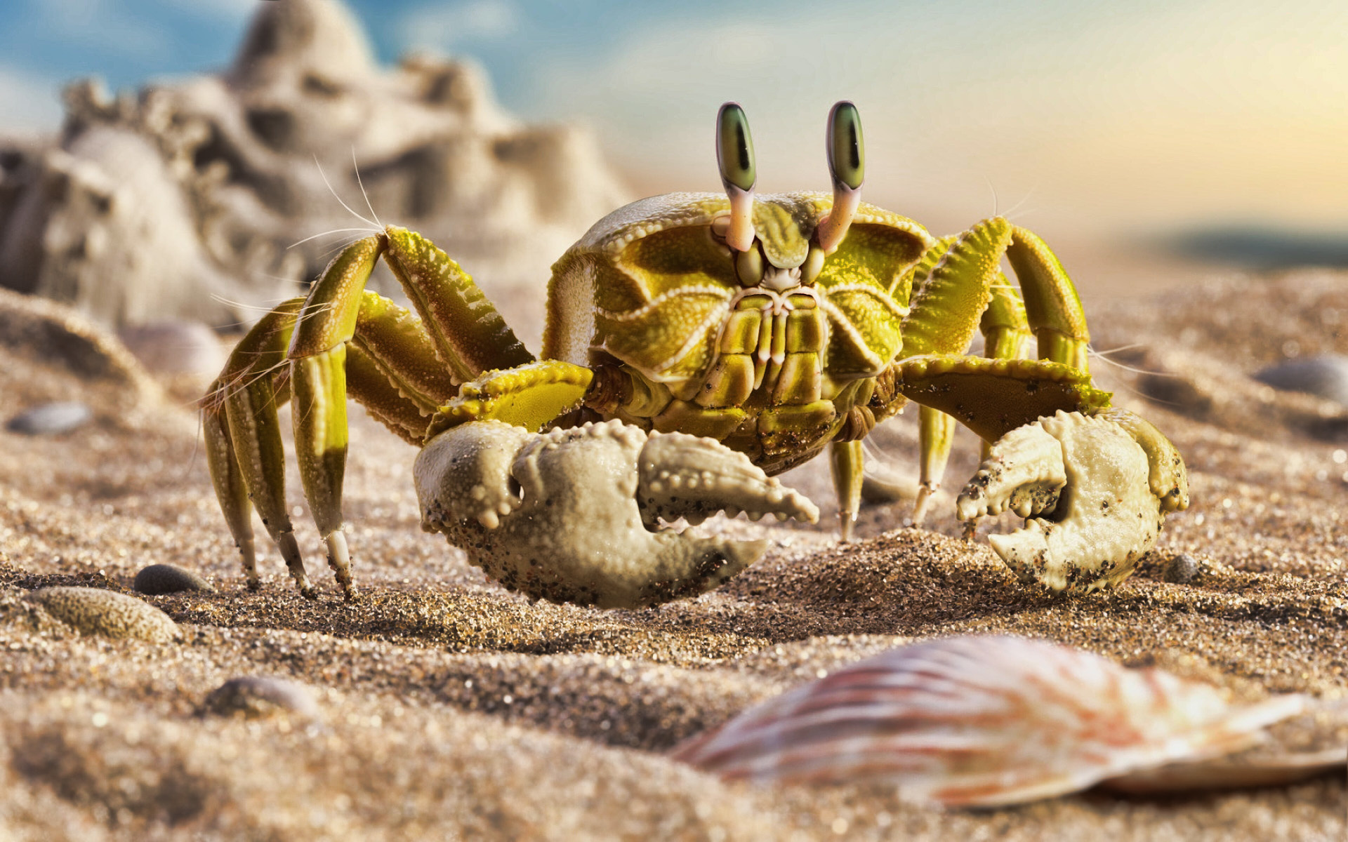 Beachside crab photo, Summer vibes, Maritime wildlife, Coastal charm, 1920x1200 HD Desktop