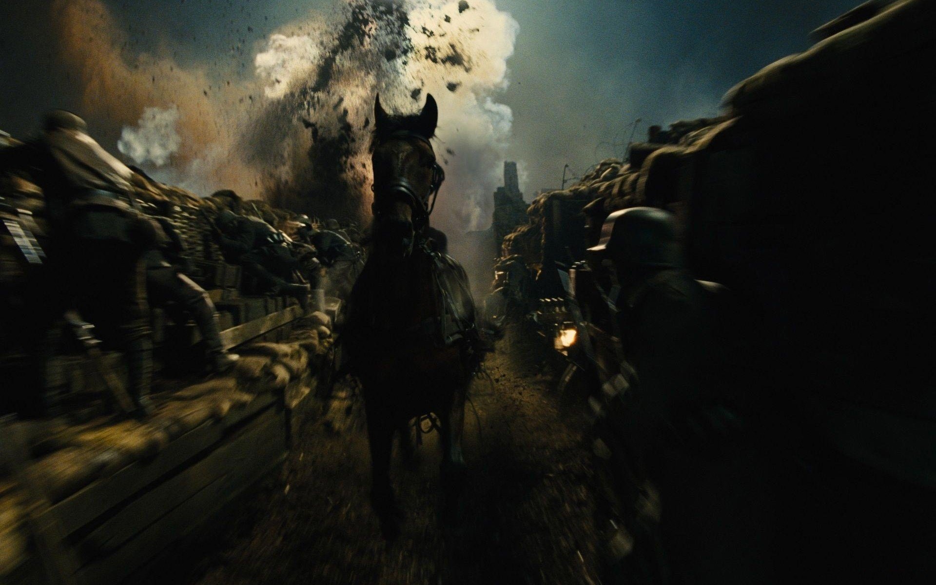 War Horse, Equestrian hero, Striking posters, Stunning visuals, 1920x1200 HD Desktop