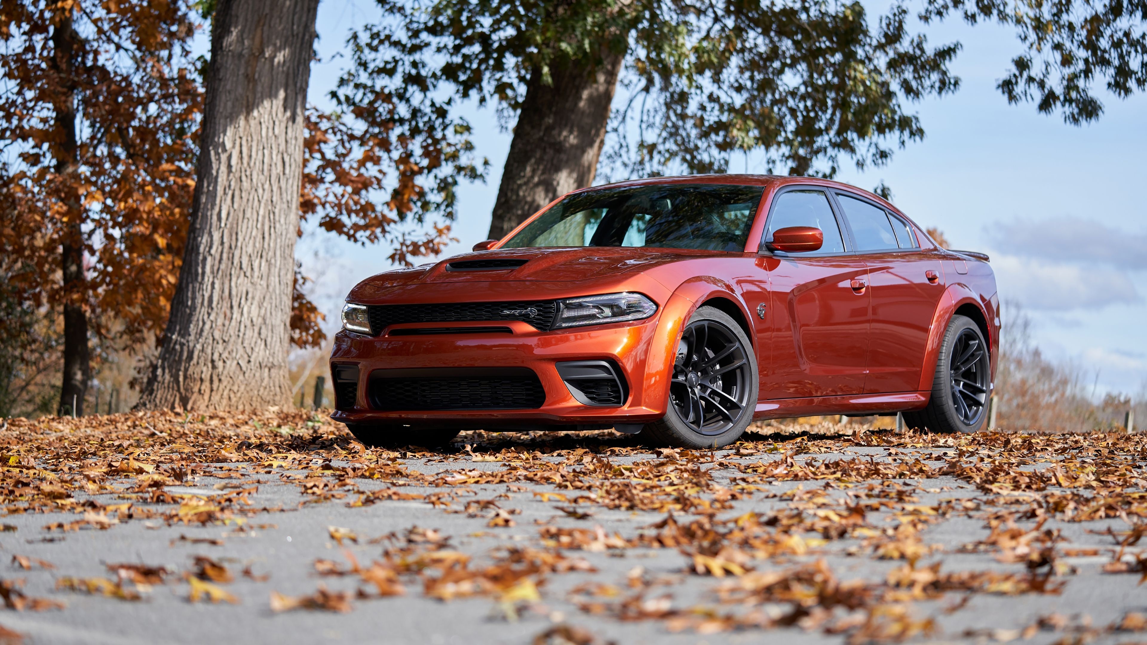 Dodge Charger SRT Hellcat Widebody, fallen autumn leaves, asphalt park road, 4K Desktop wallpaper