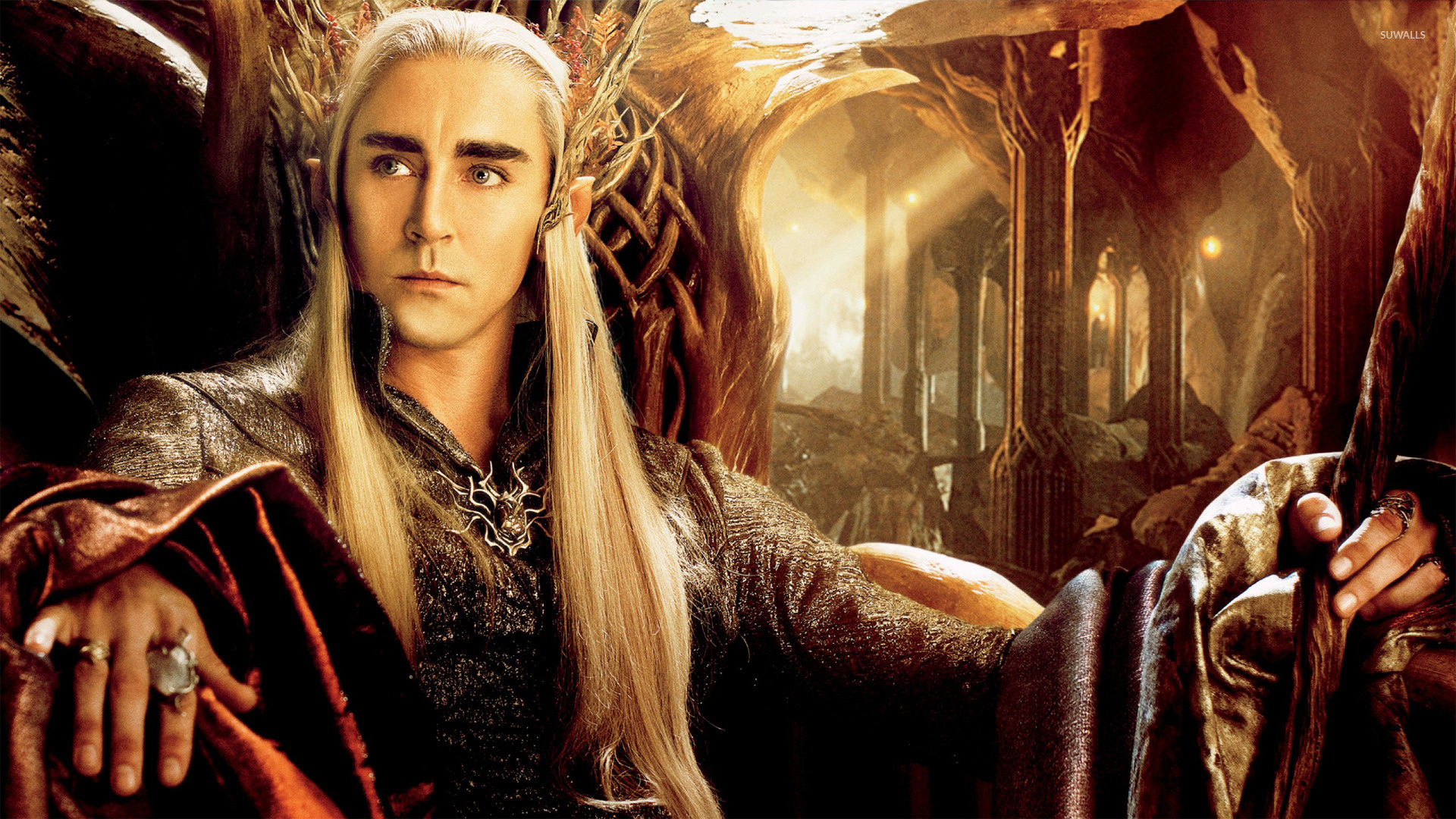 Desolation of Smaug, Thranduil, Movie wallpapers, Movie, 1920x1080 Full HD Desktop