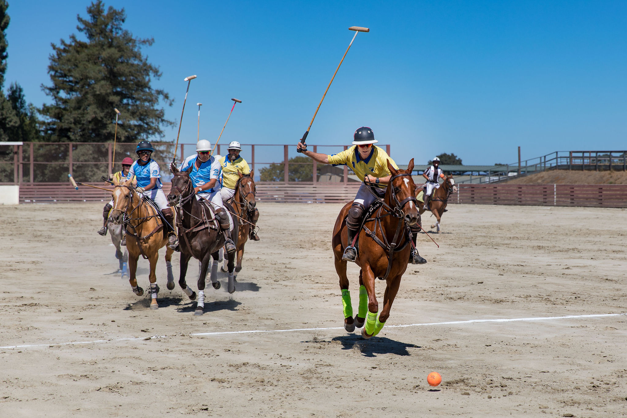 Horse Park Polo Club, Horse Polo Wallpaper, 2050x1370 HD Desktop