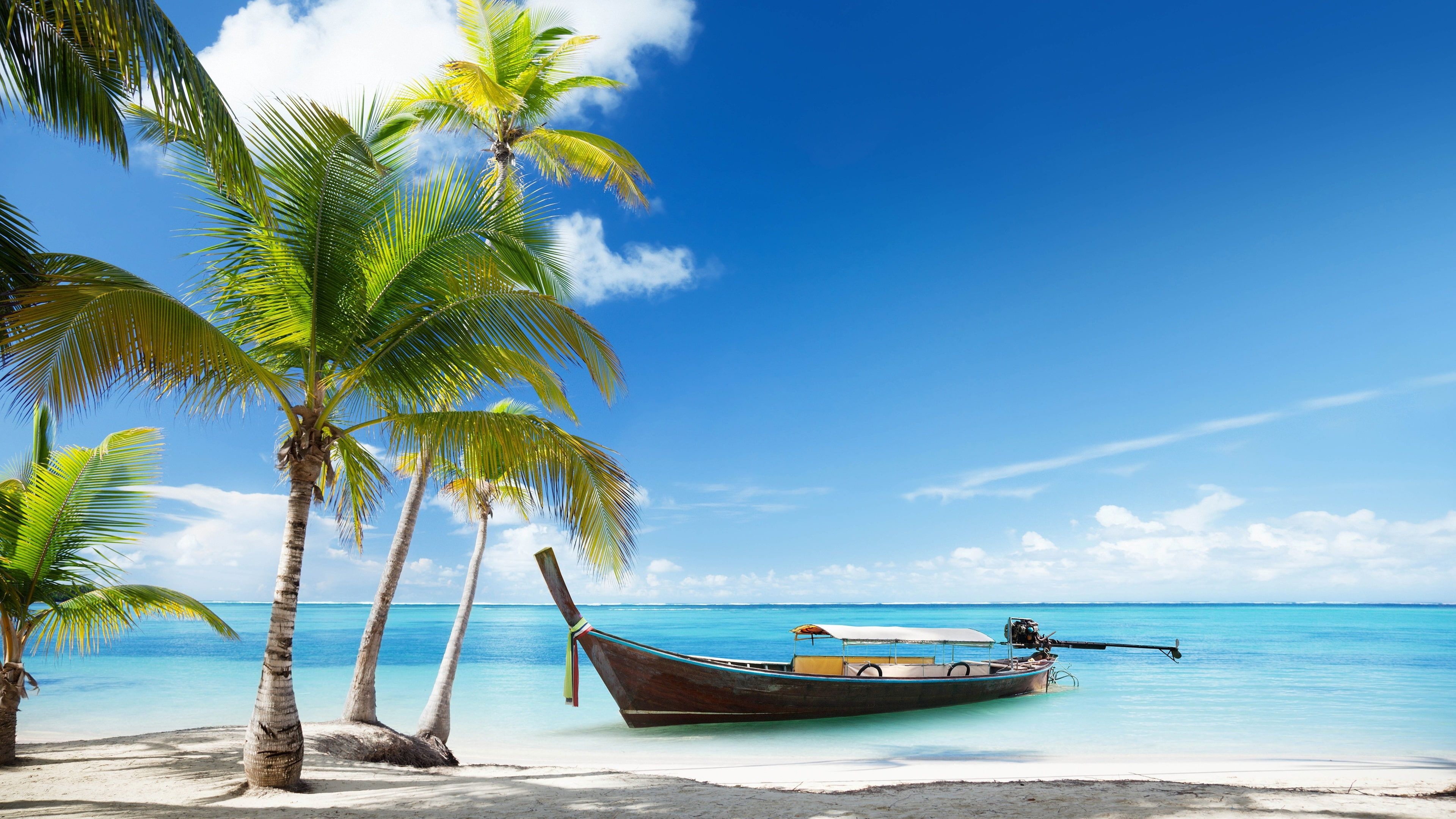 Thai long-tail boat, Tropical coconut palm trees, Turquoise ocean beach, 4K Desktop wallpaper
