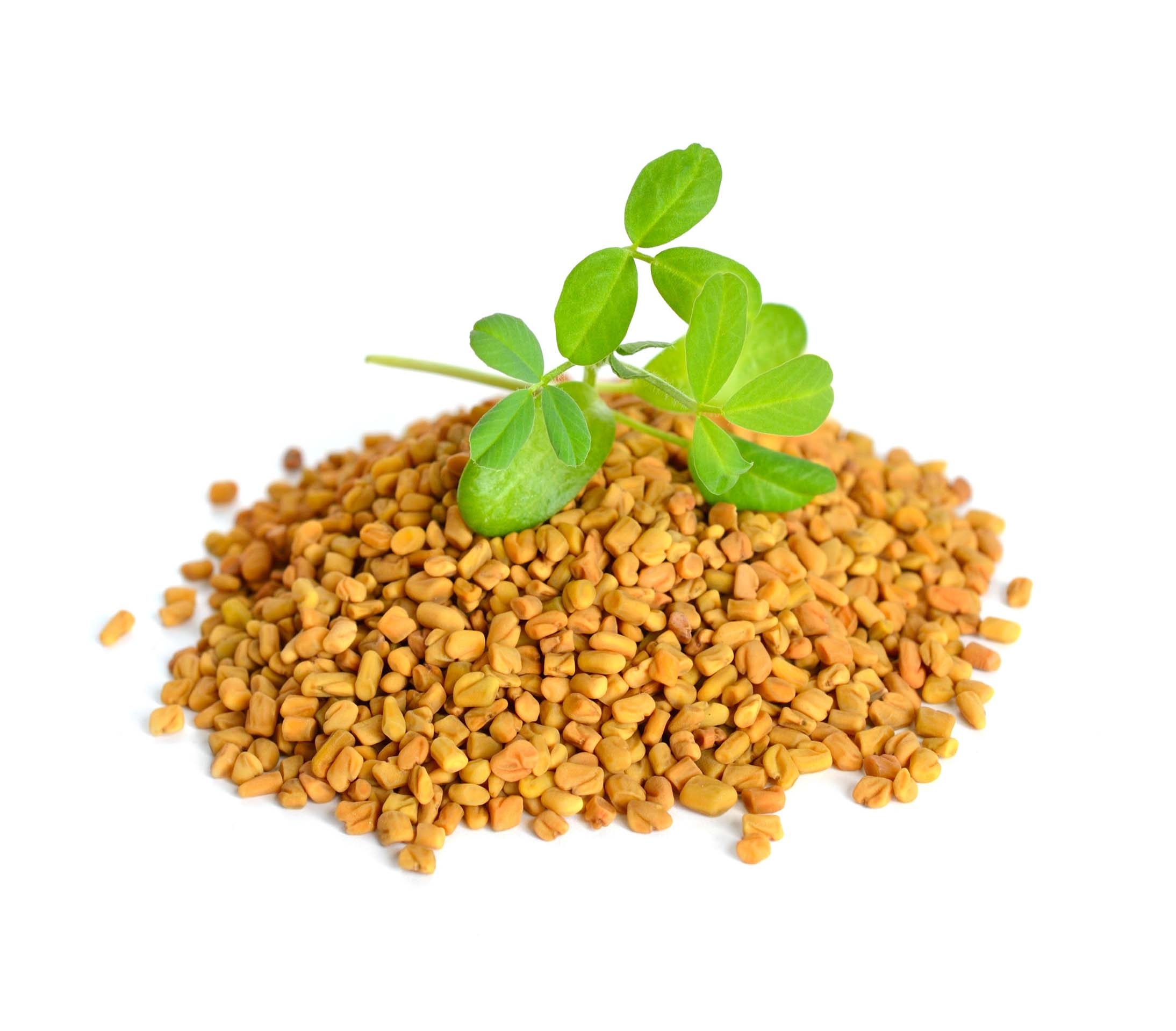 Fenugreek powder, Methi, Hair care, 2190x1920 HD Desktop