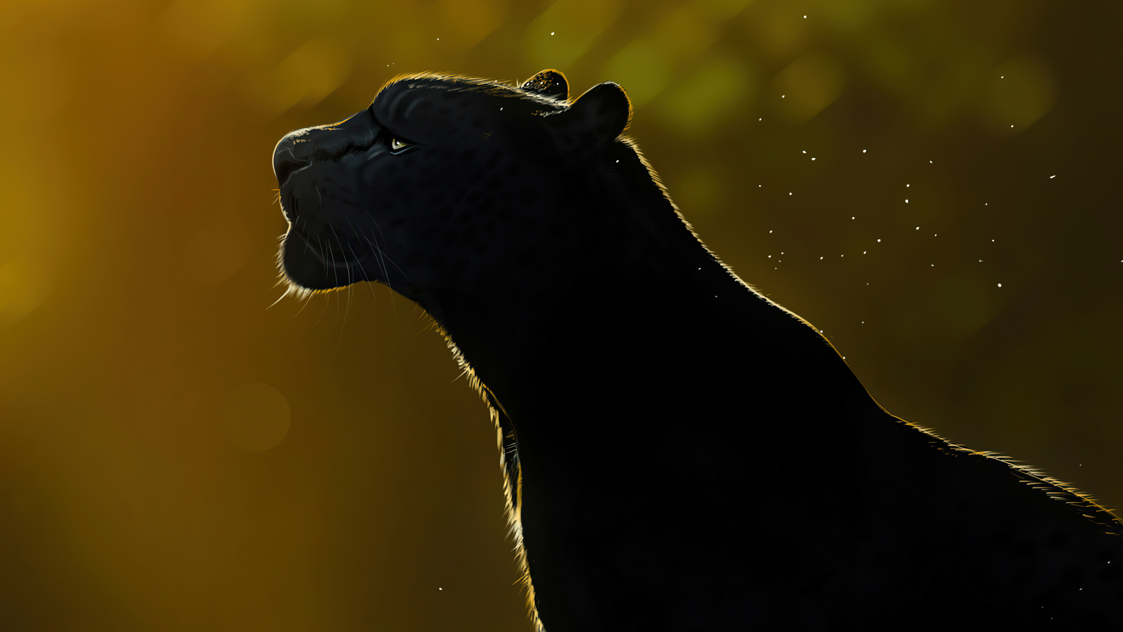 Black Panther (Animal) Wallpapers (45 images) - WallpaperCat