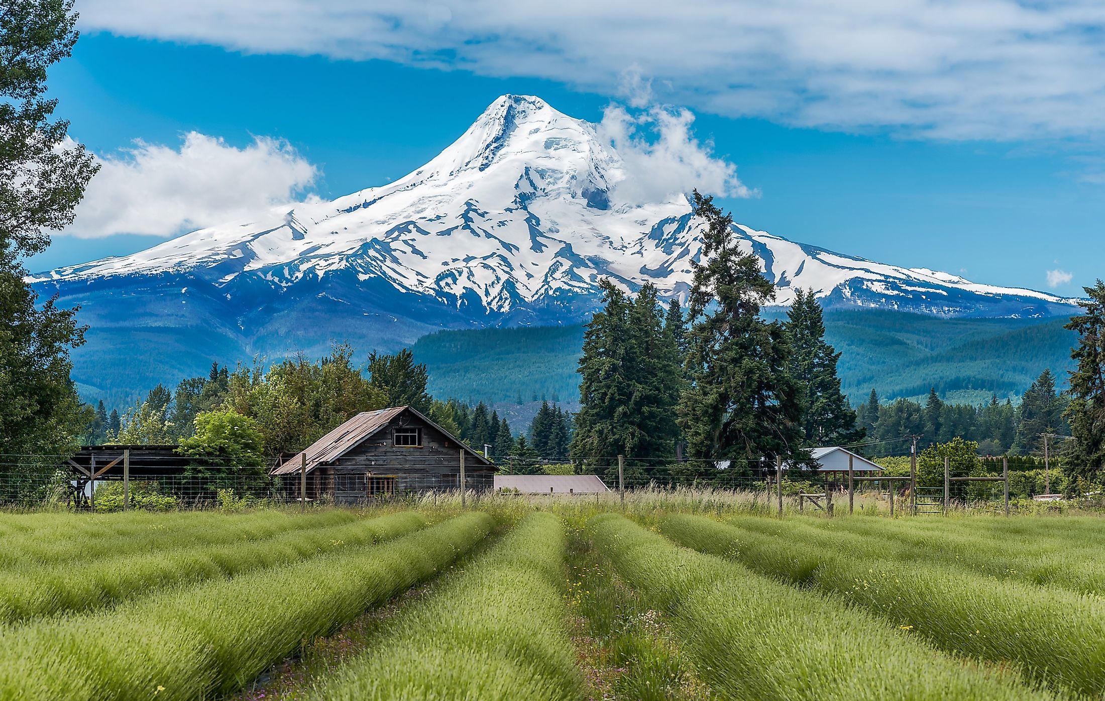 Mount Hood, Oregon worldatlas, 2200x1400 HD Desktop