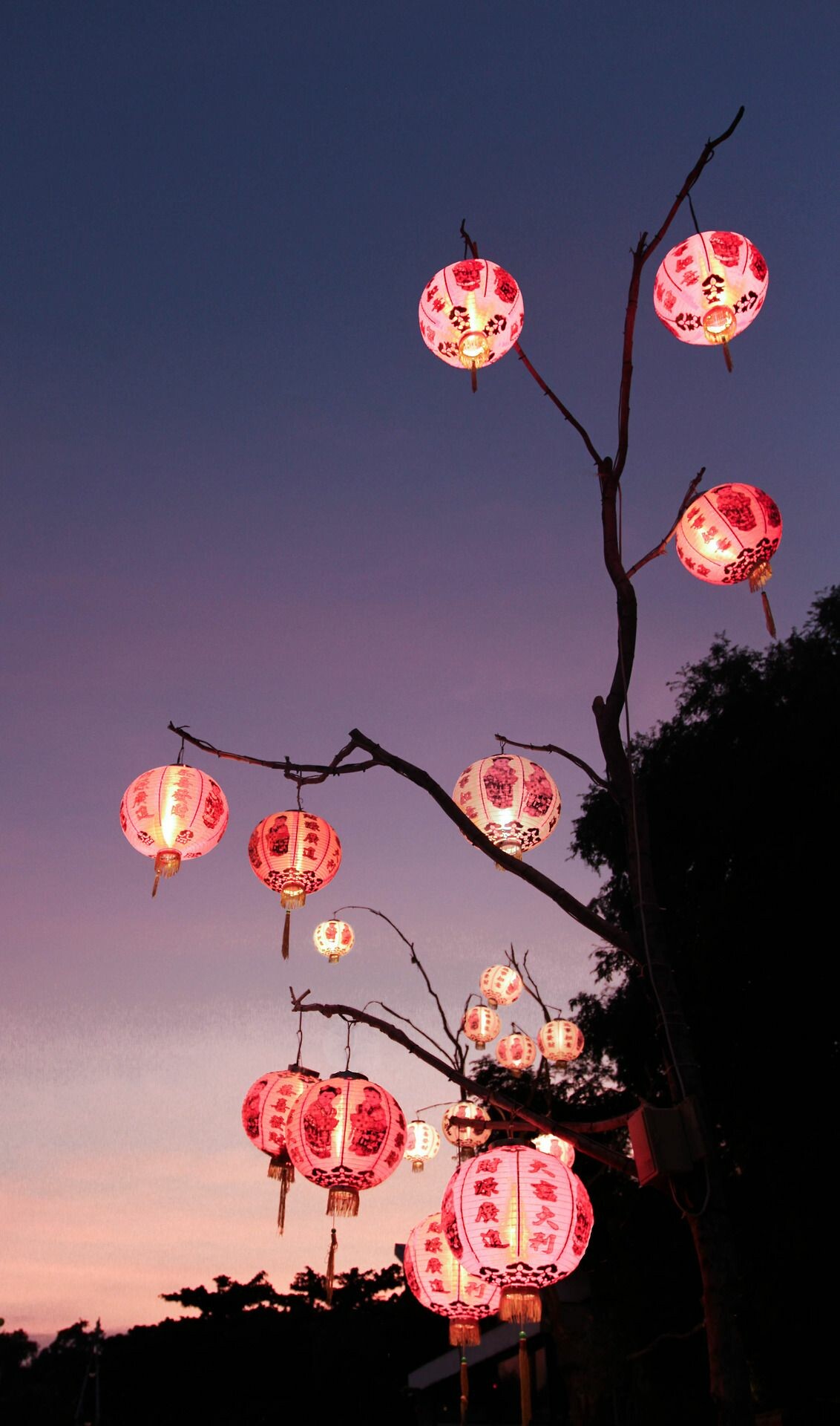 Japanese lanterns wallpapers, Posted by Ryan, 1140x1920 HD Phone